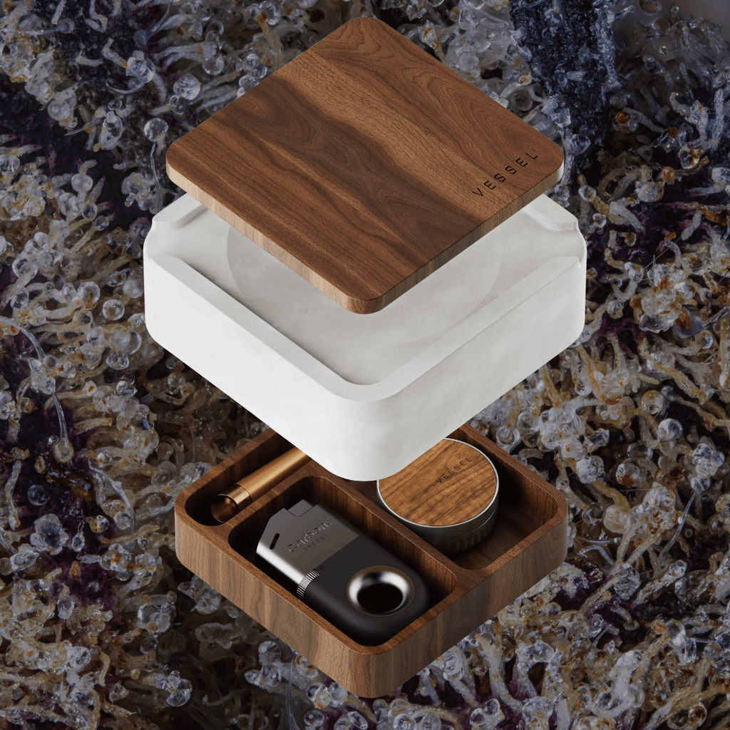Vessel Ash Ashtray & Storage Black | Trichly