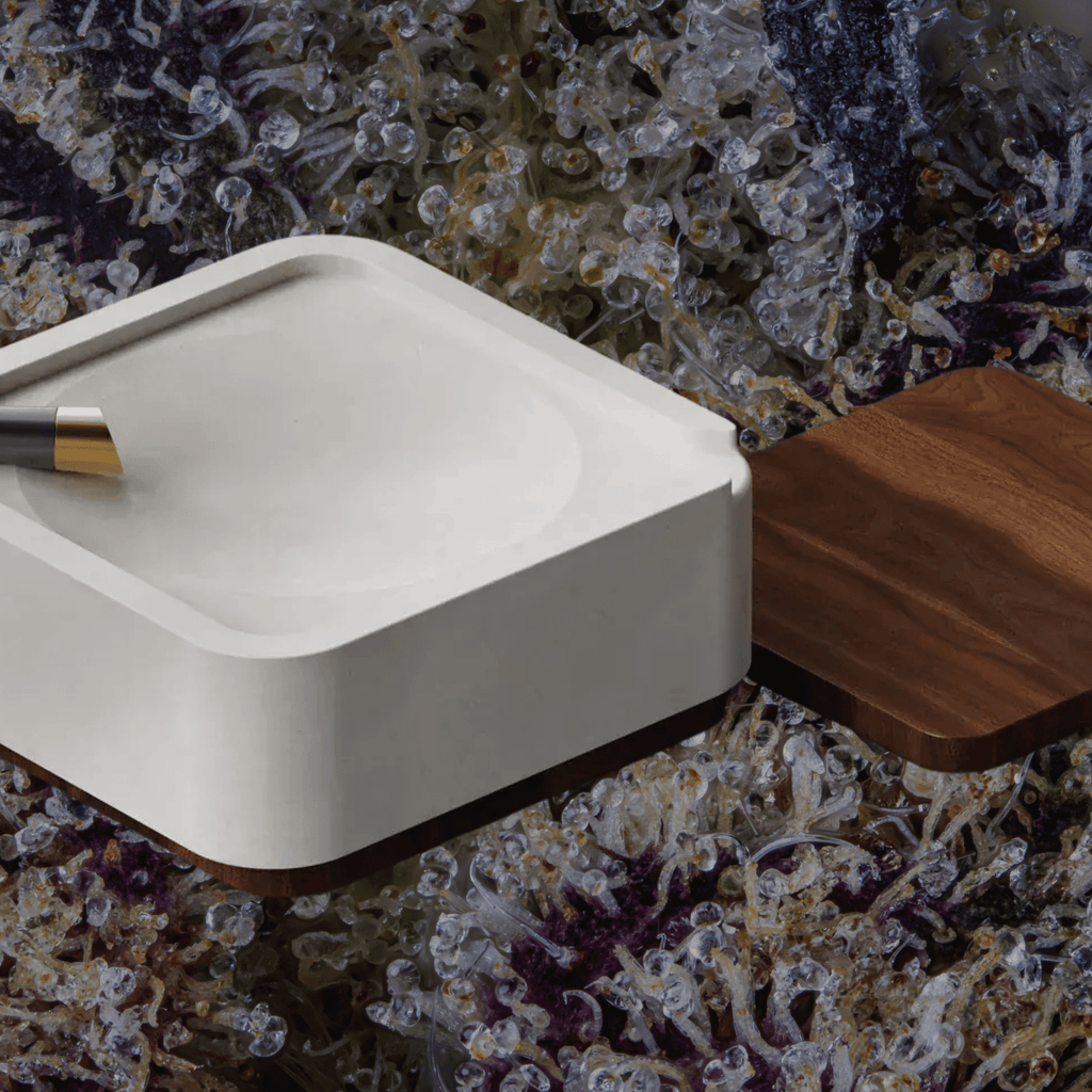 Vessel Ash Ashtray & Storage Black | Trichly