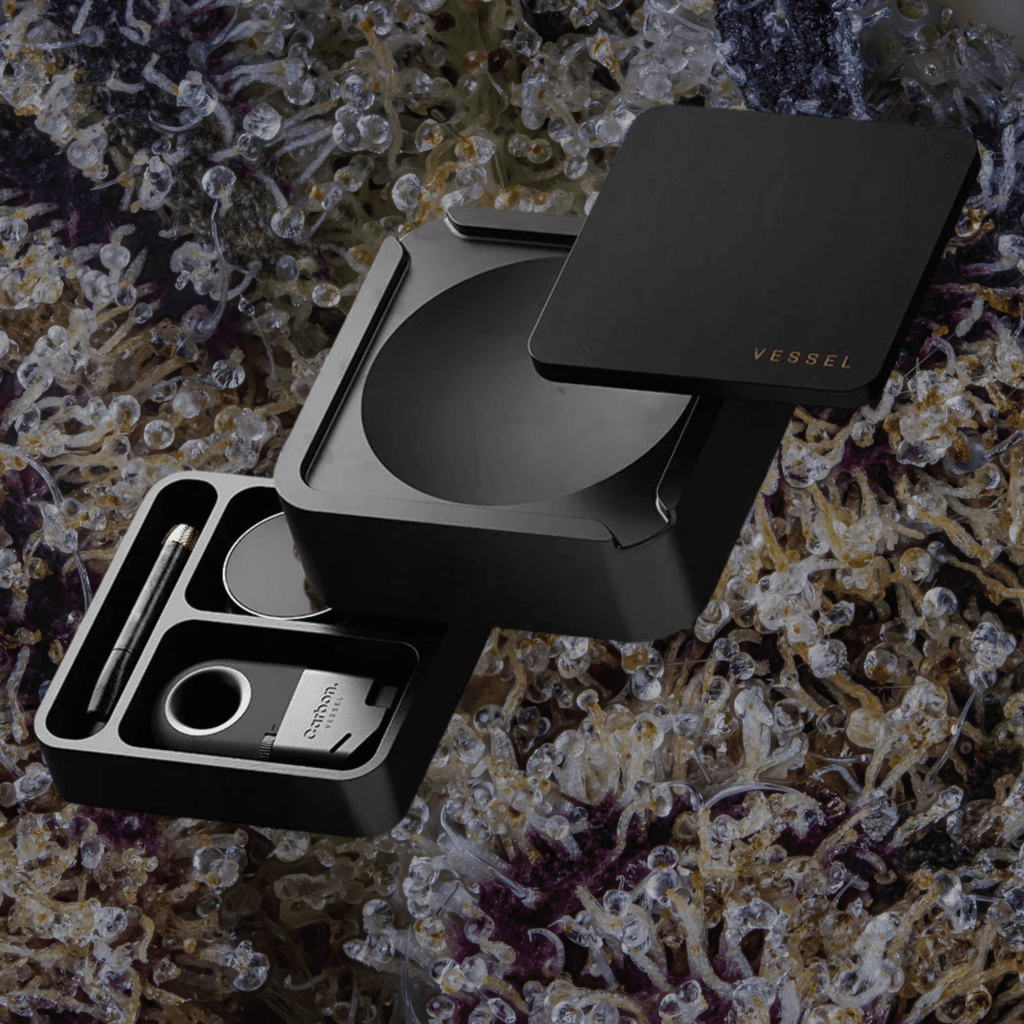 Vessel Ash Ashtray & Storage Black | Trichly