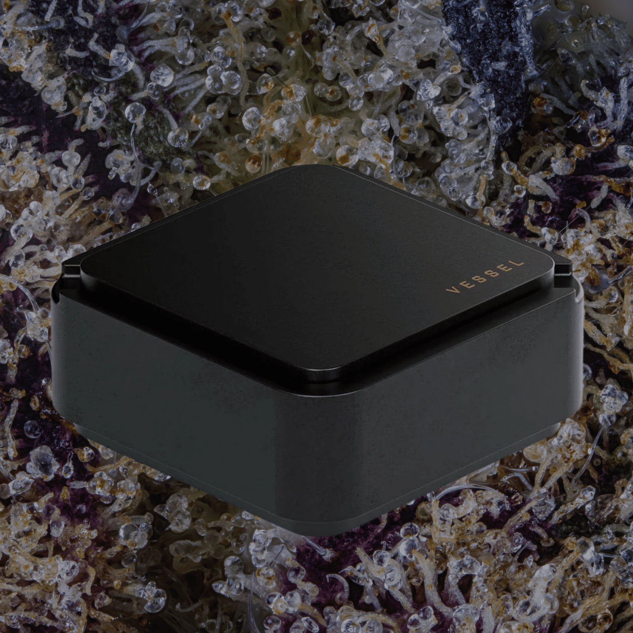 Vessel Ash Ashtray & Storage Black | Trichly