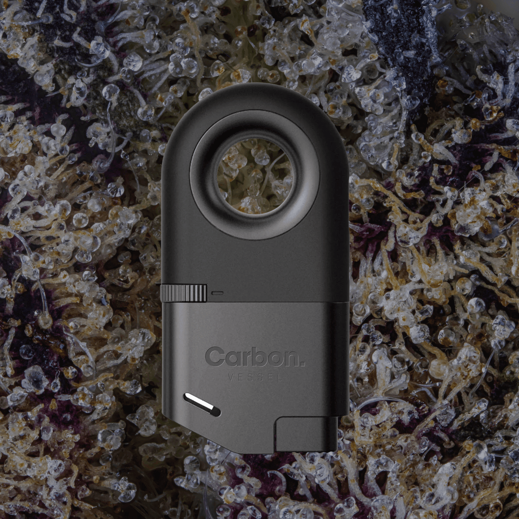 Vessel Carbon Lighter | Trichly