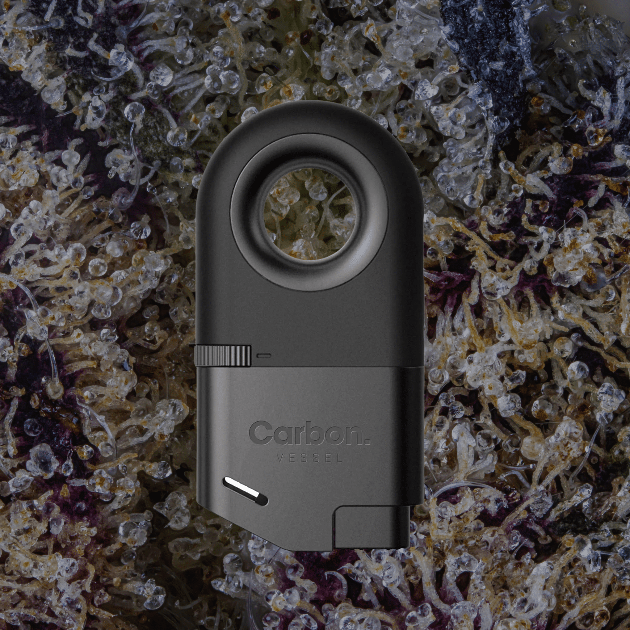 Vessel Carbon Lighter | Trichly