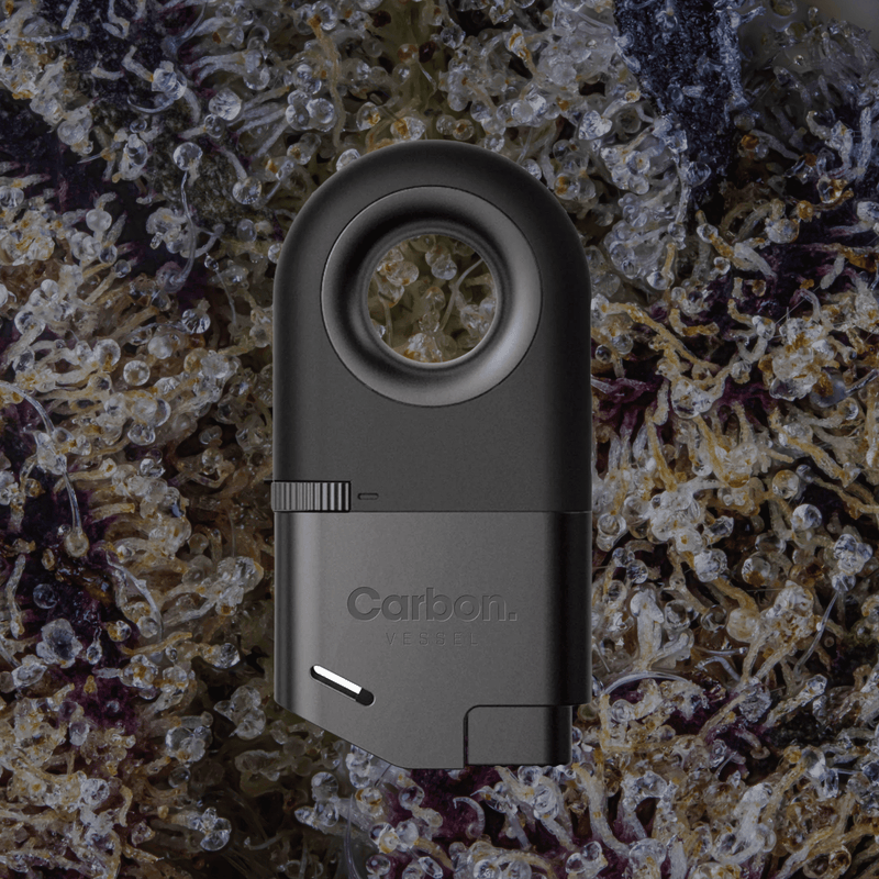 Vessel Carbon Lighter | Trichly