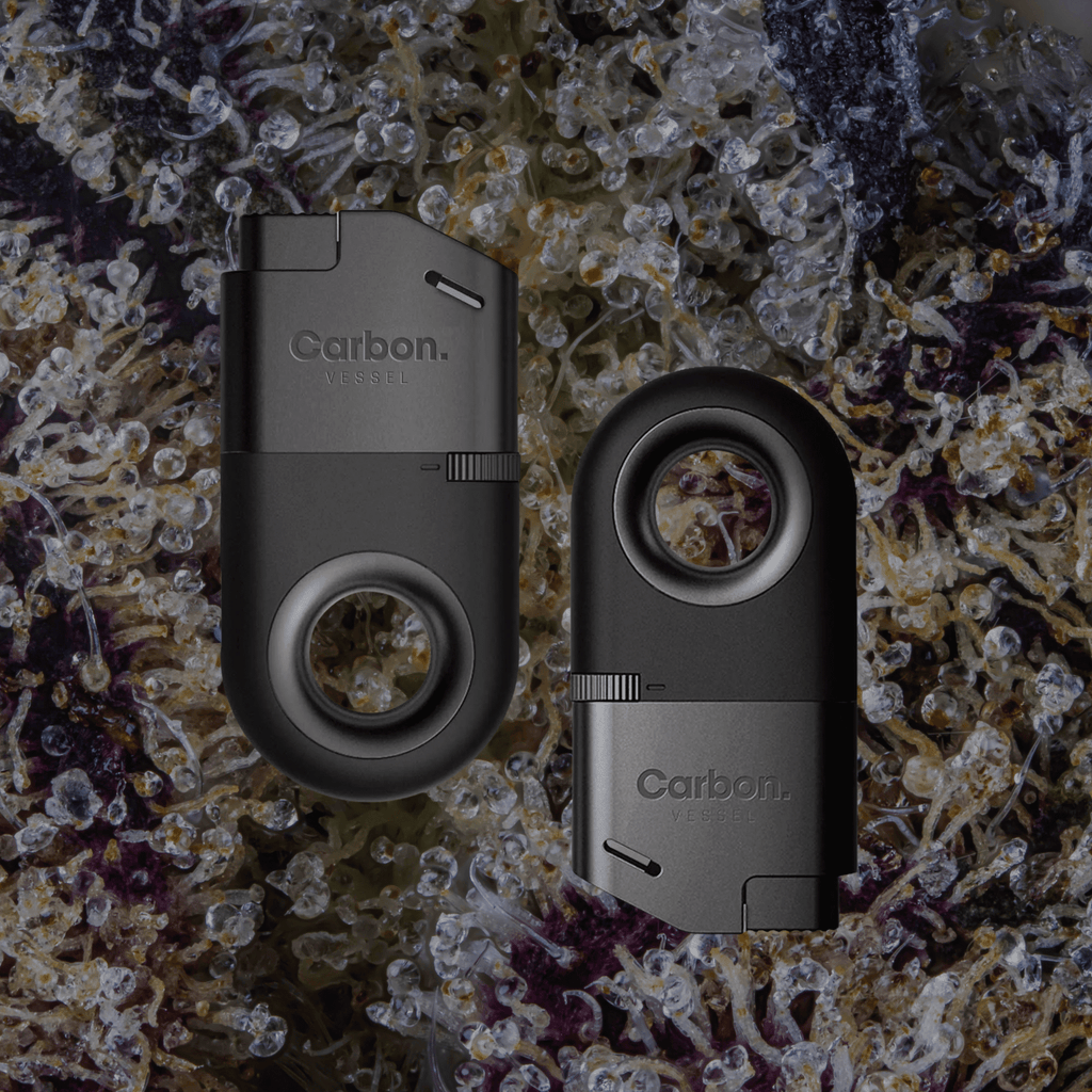 Vessel Carbon Lighter | Trichly