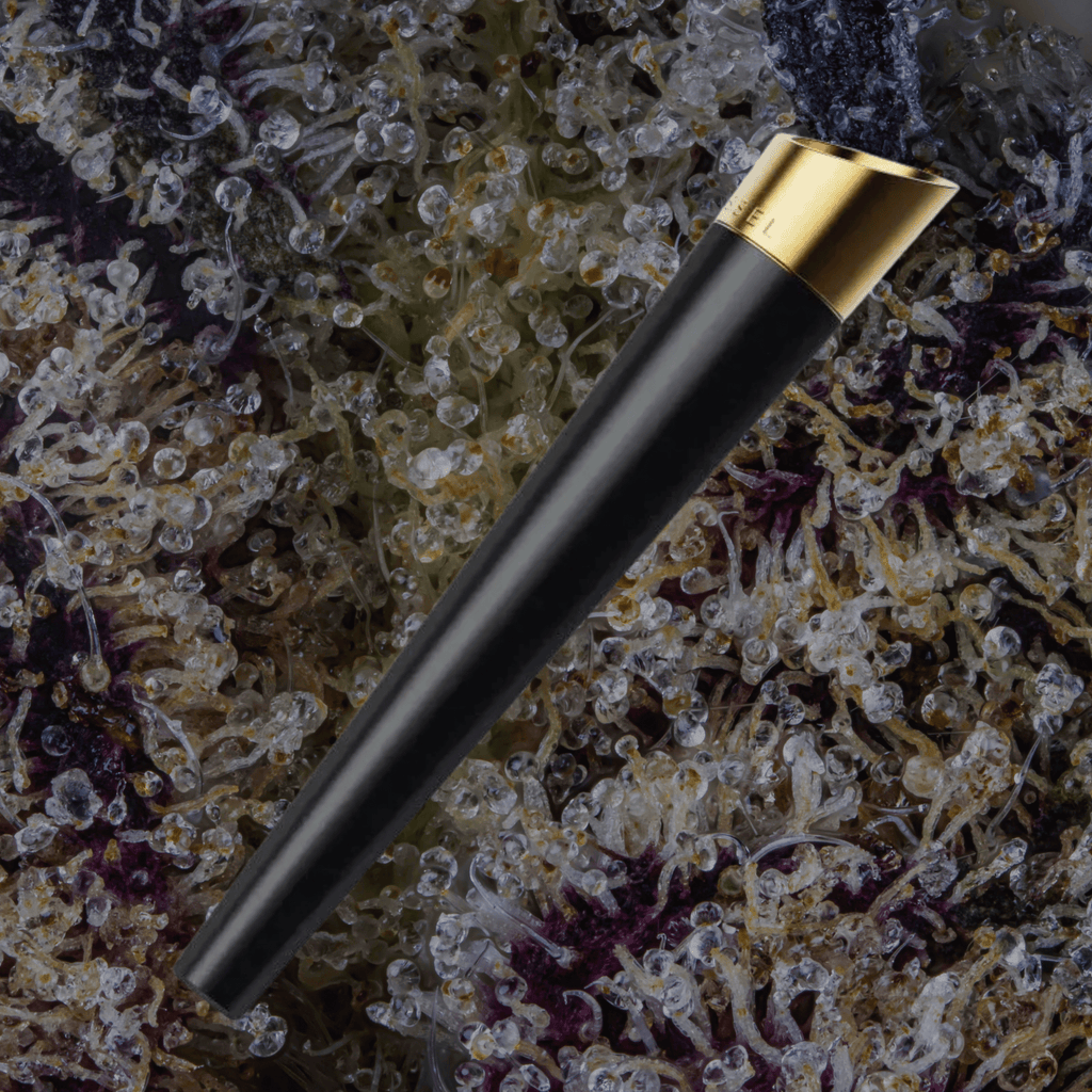 Vessel Cone One - Hitter Gunmetal | Trichly