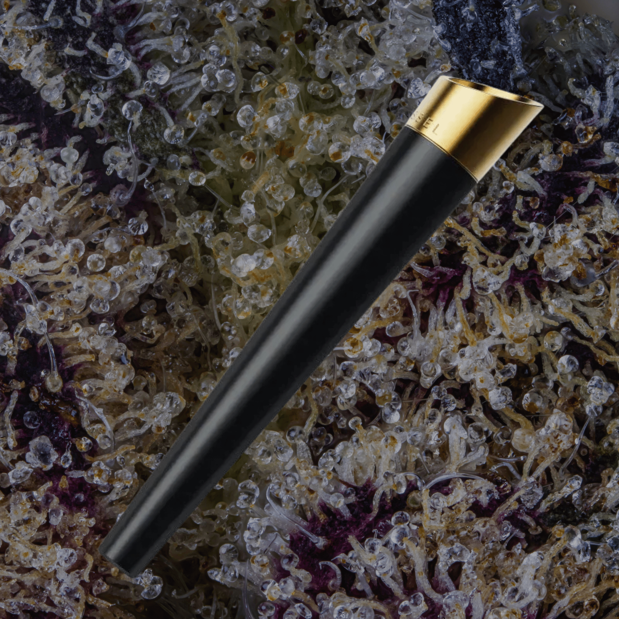 Vessel Cone One - Hitter Gunmetal | Trichly