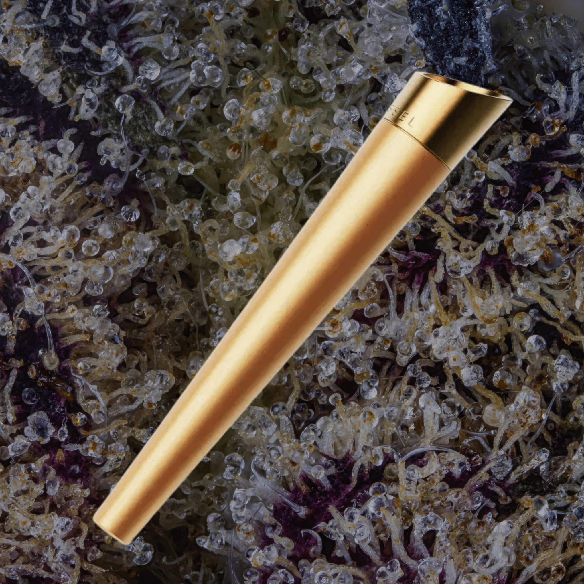Vessel Cone One - Hitter Gunmetal | Trichly