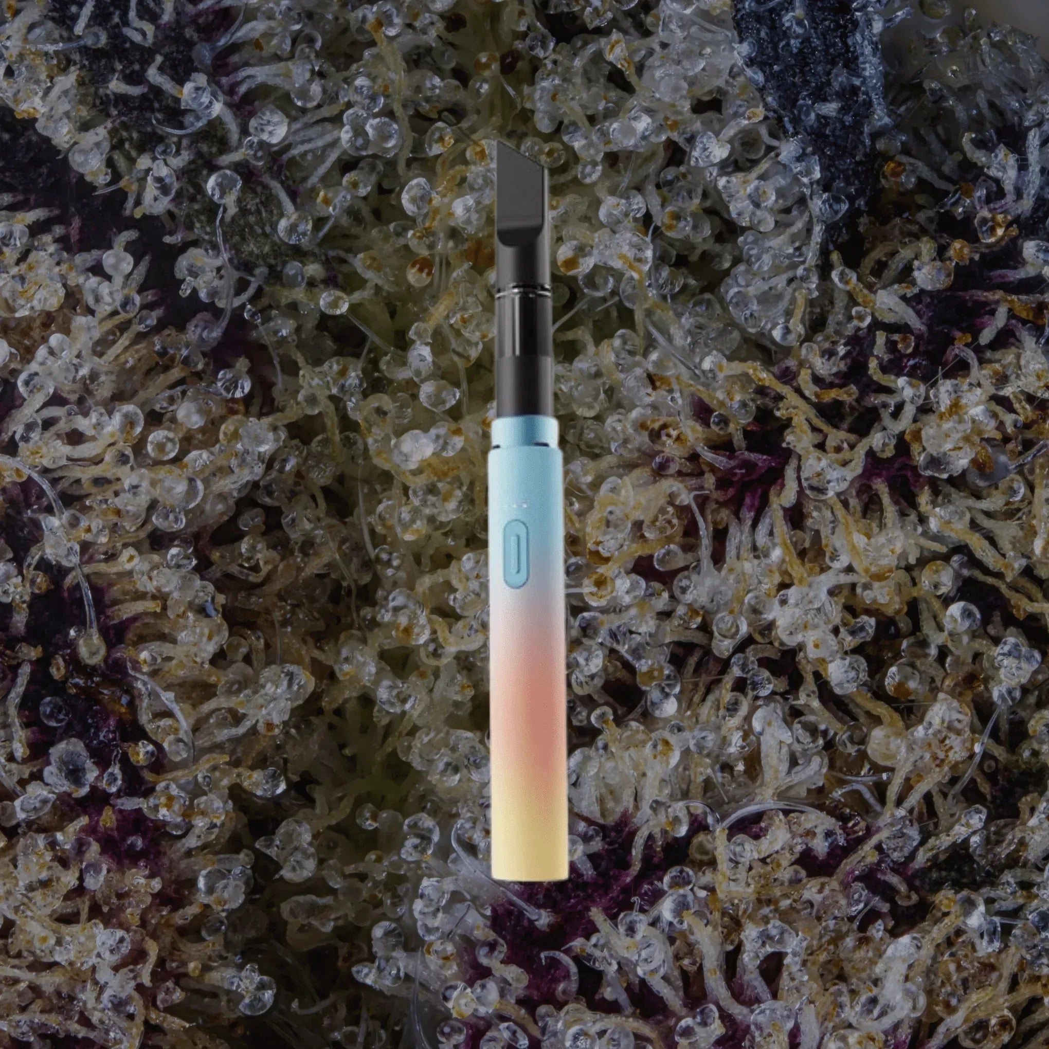 VESSEL Core Stone | Trichly