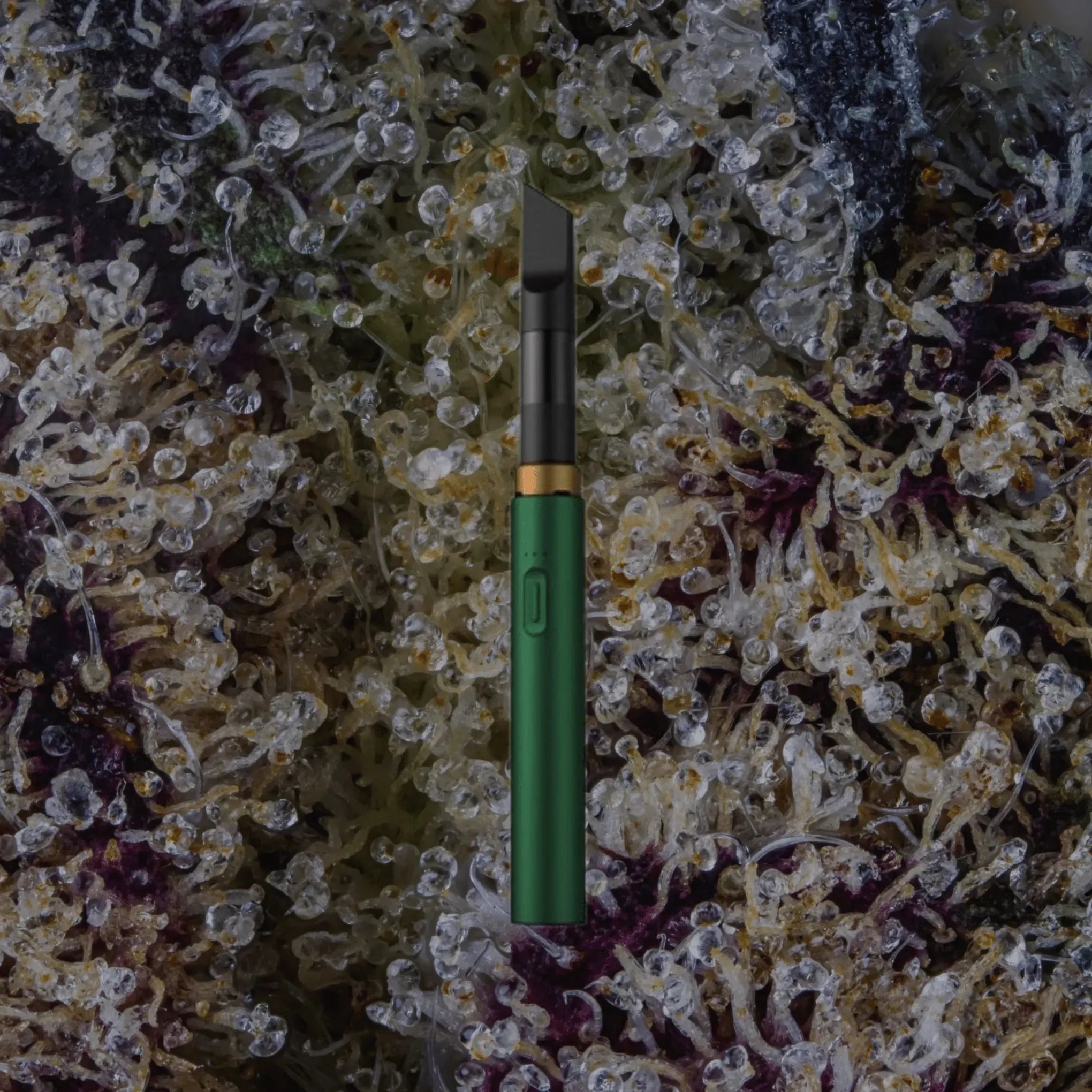 VESSEL Core Emerald | Trichly