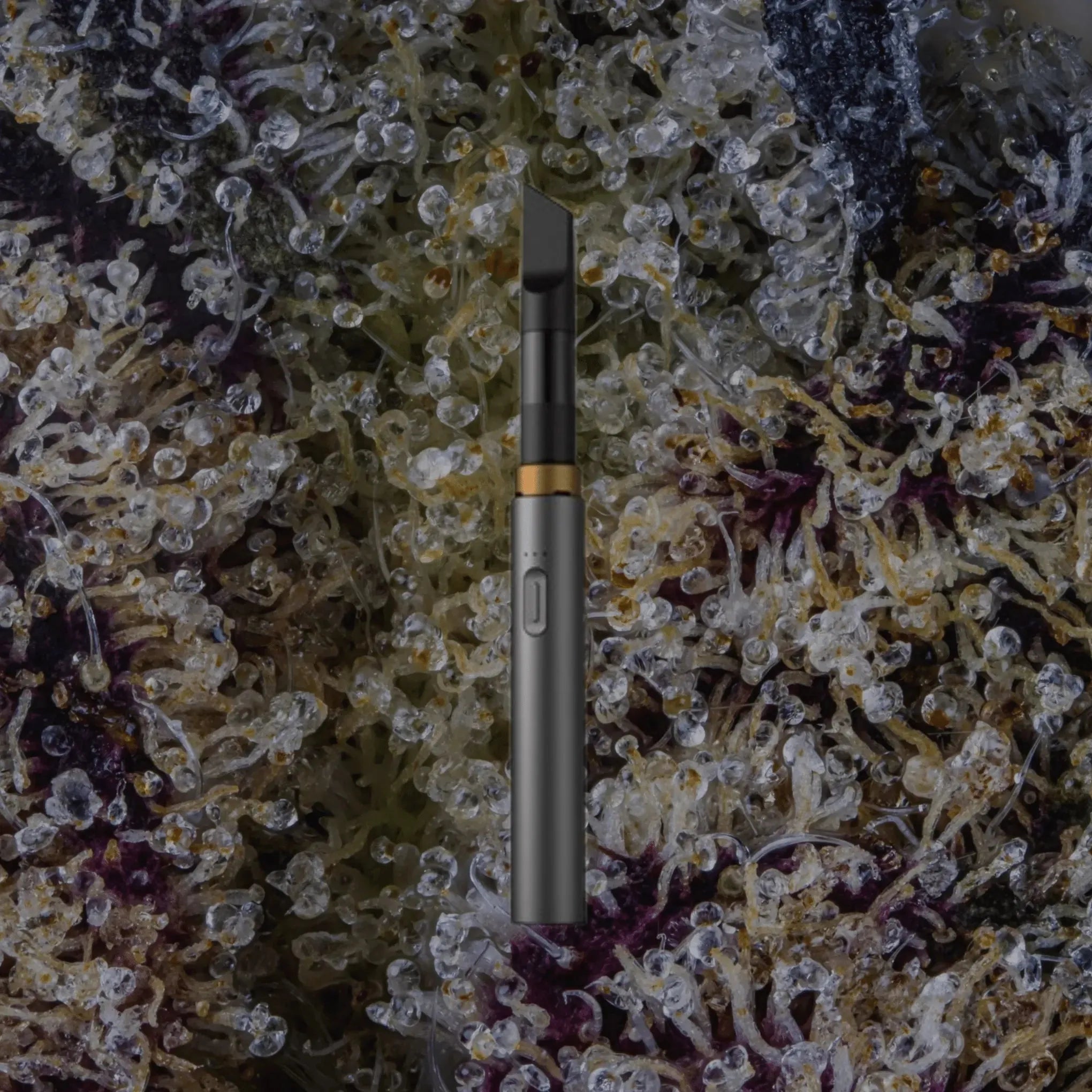 VESSEL Core Stone | Trichly