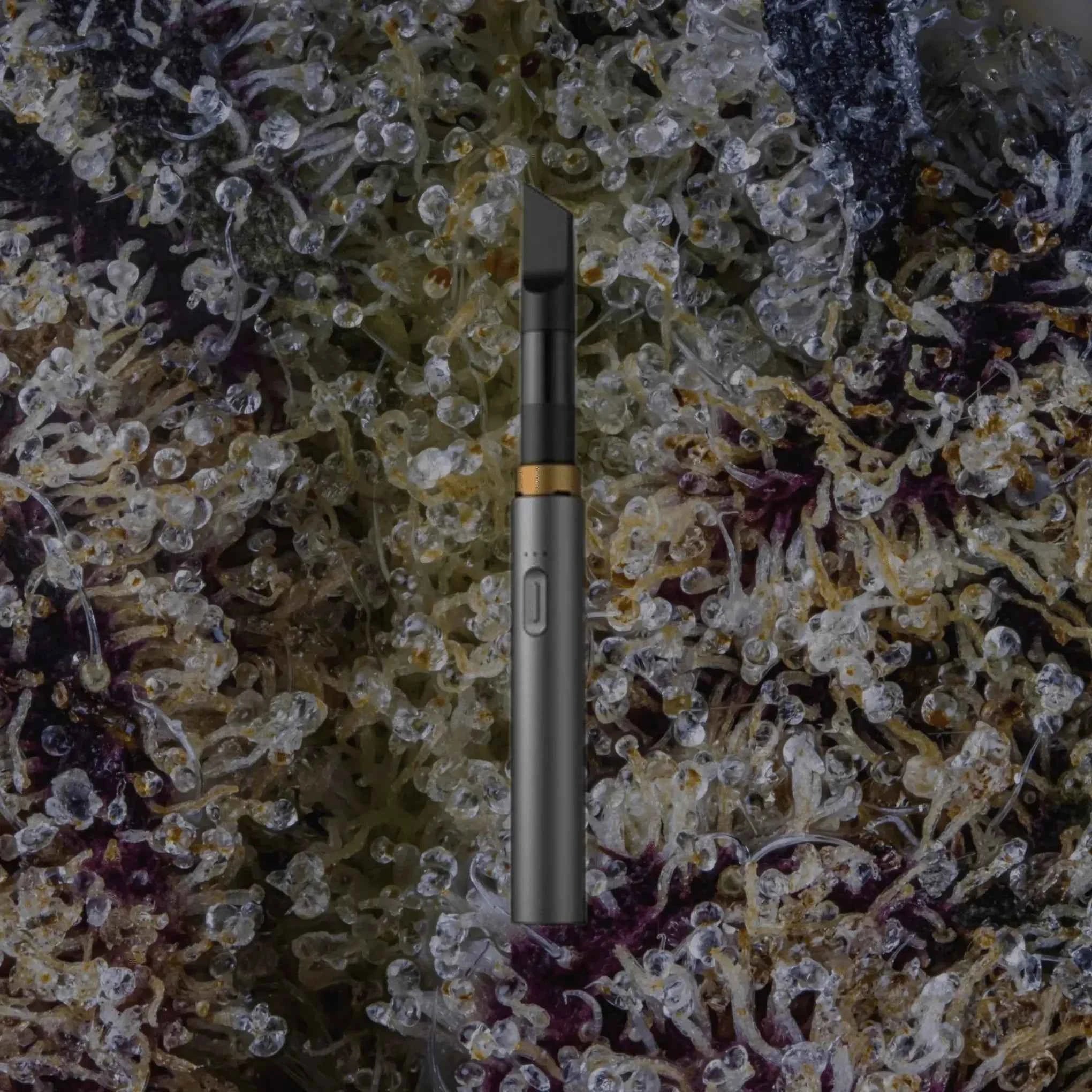 Vessel Core Stone | Trichly