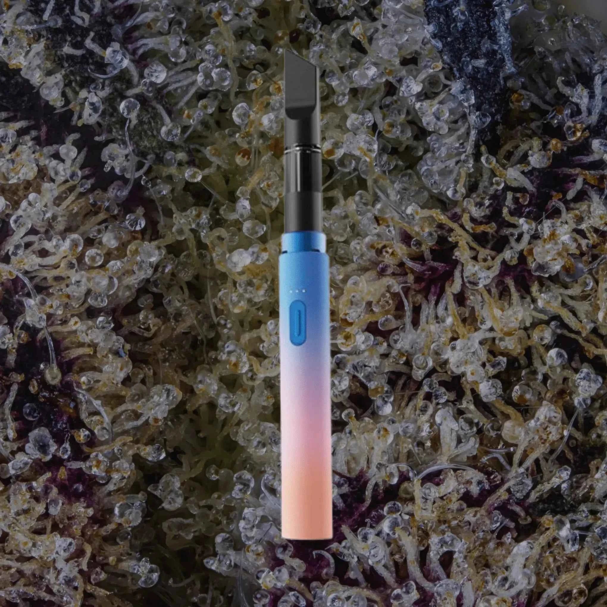 Vessel Core Stone | Trichly