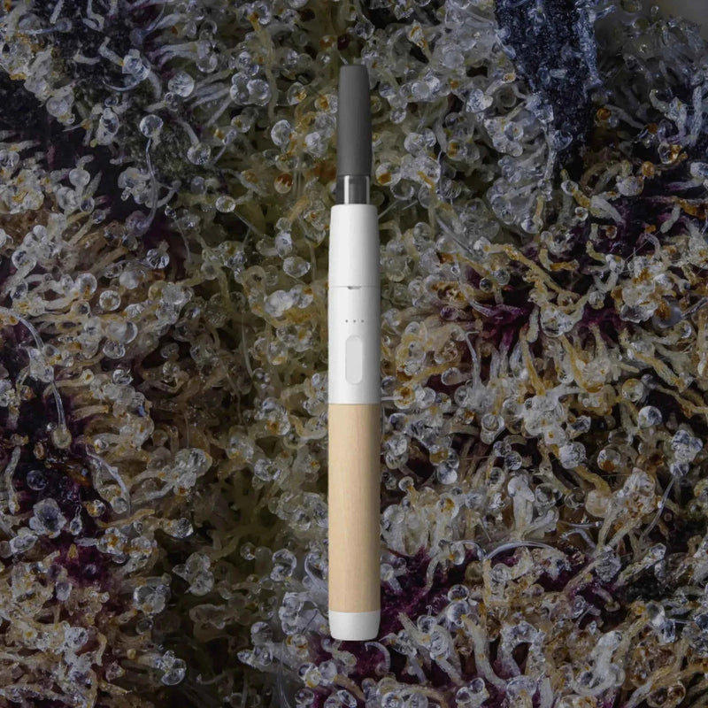 Vessel Craftsman White/Beechwood | Trichly