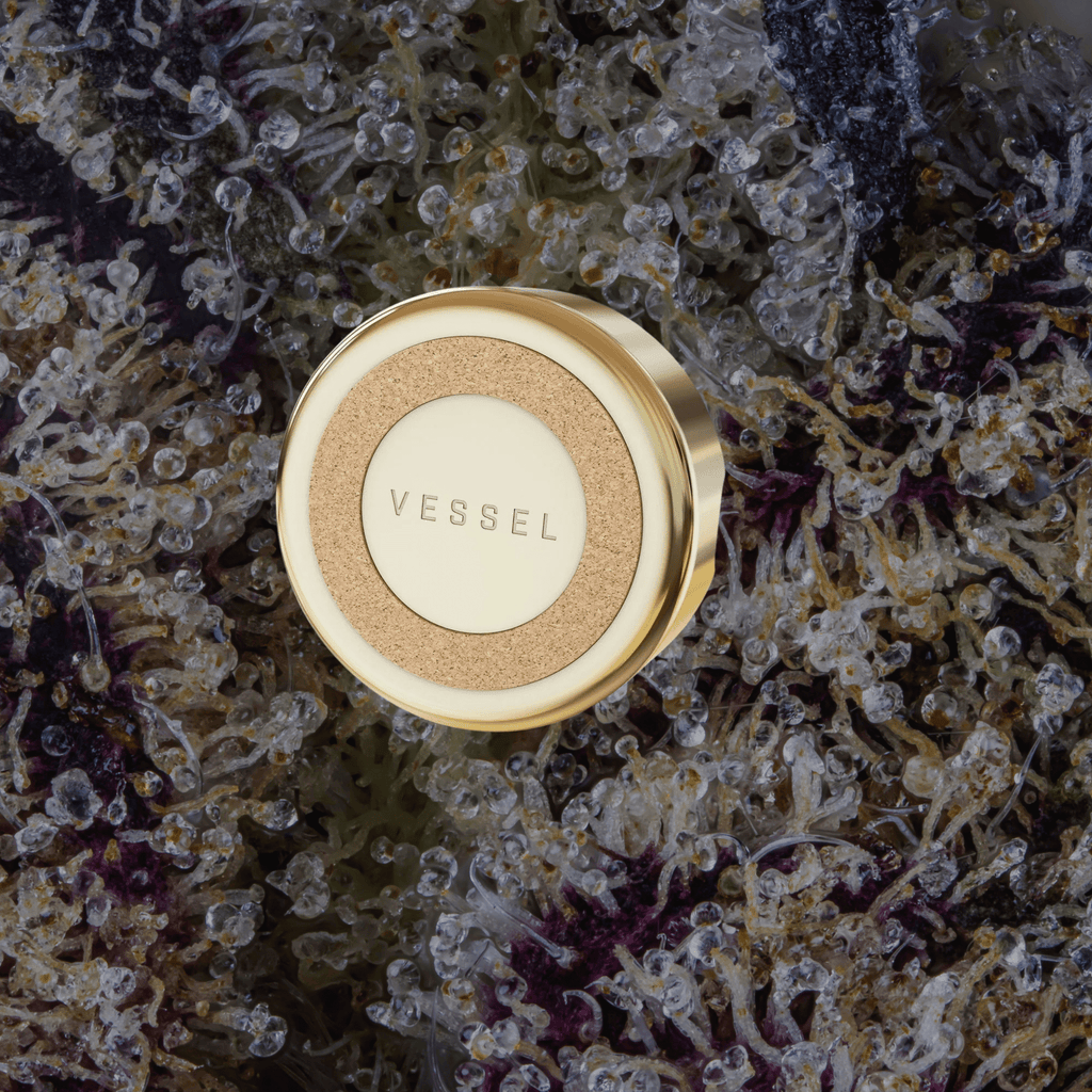 Vessel Ember Ashtray Gold | Trichly