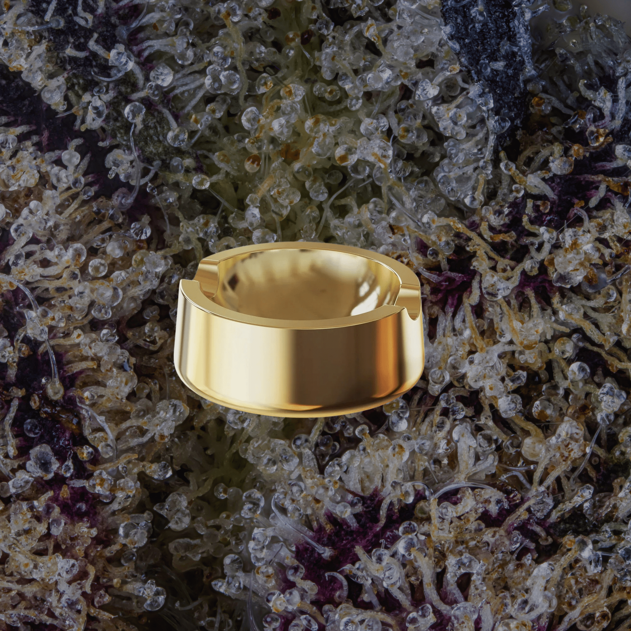 Vessel Ember Ashtray Gold | Trichly