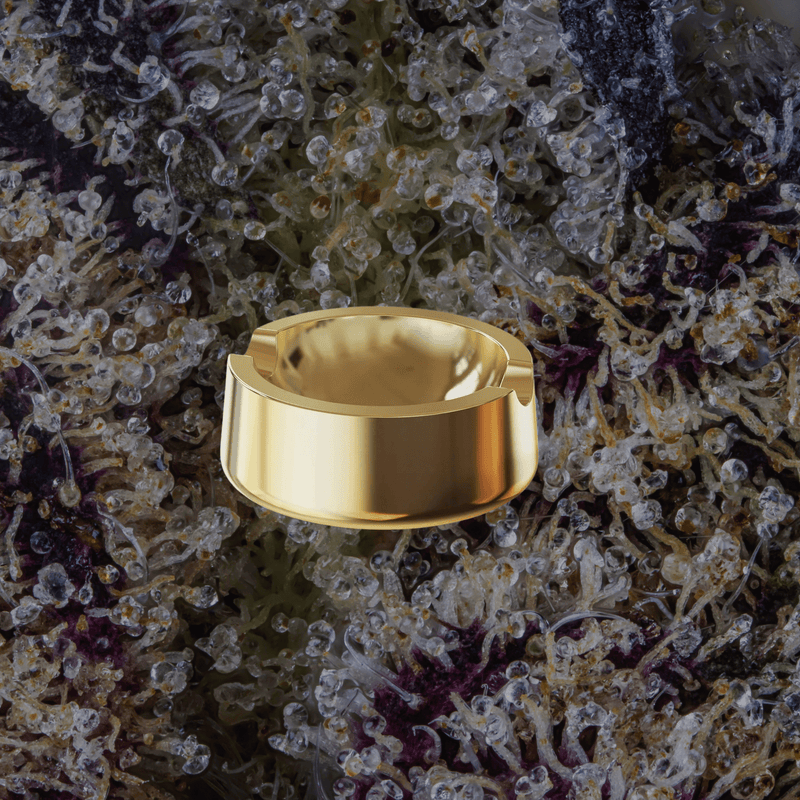 Vessel Ember Ashtray Gold | Trichly