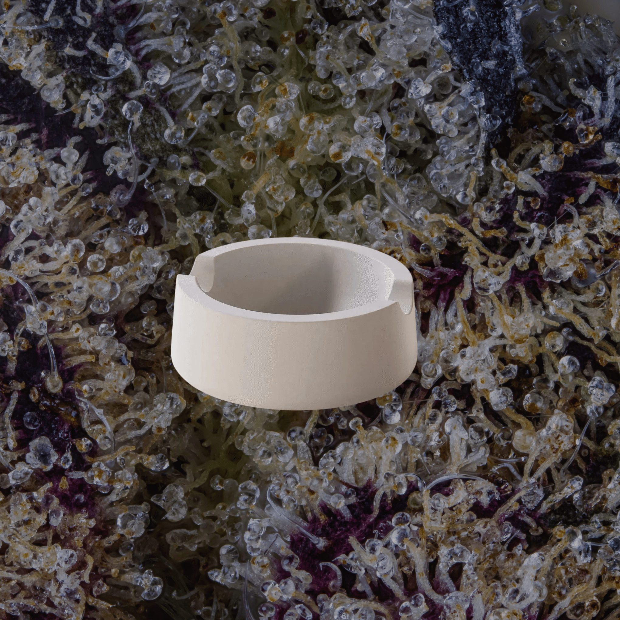Vessel Ember Ashtray Gold | Trichly