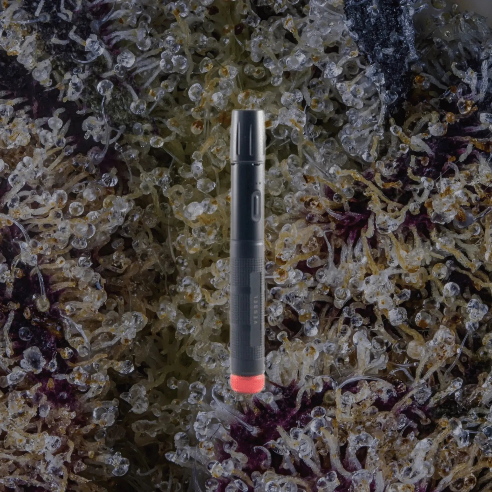 VESSEL Expedition Black | Trichly