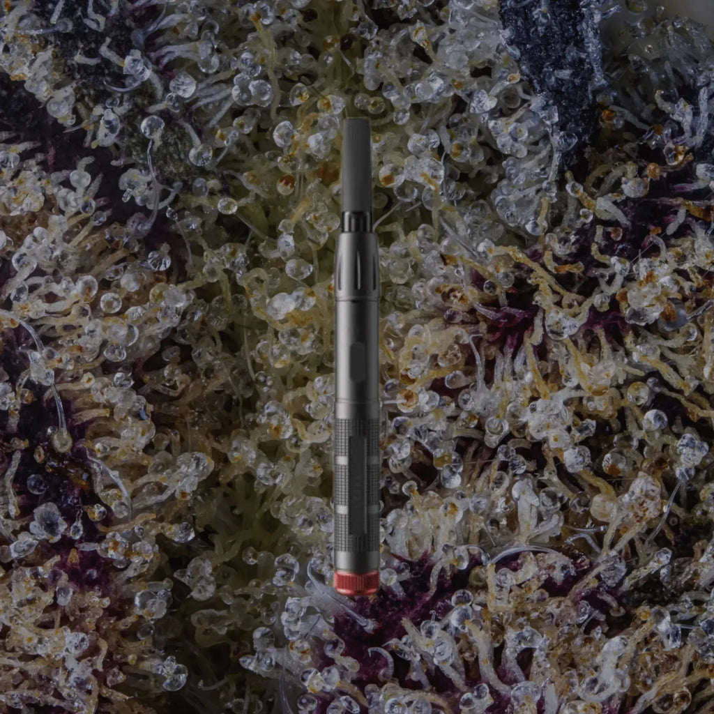 VESSEL Expedition Black | Trichly