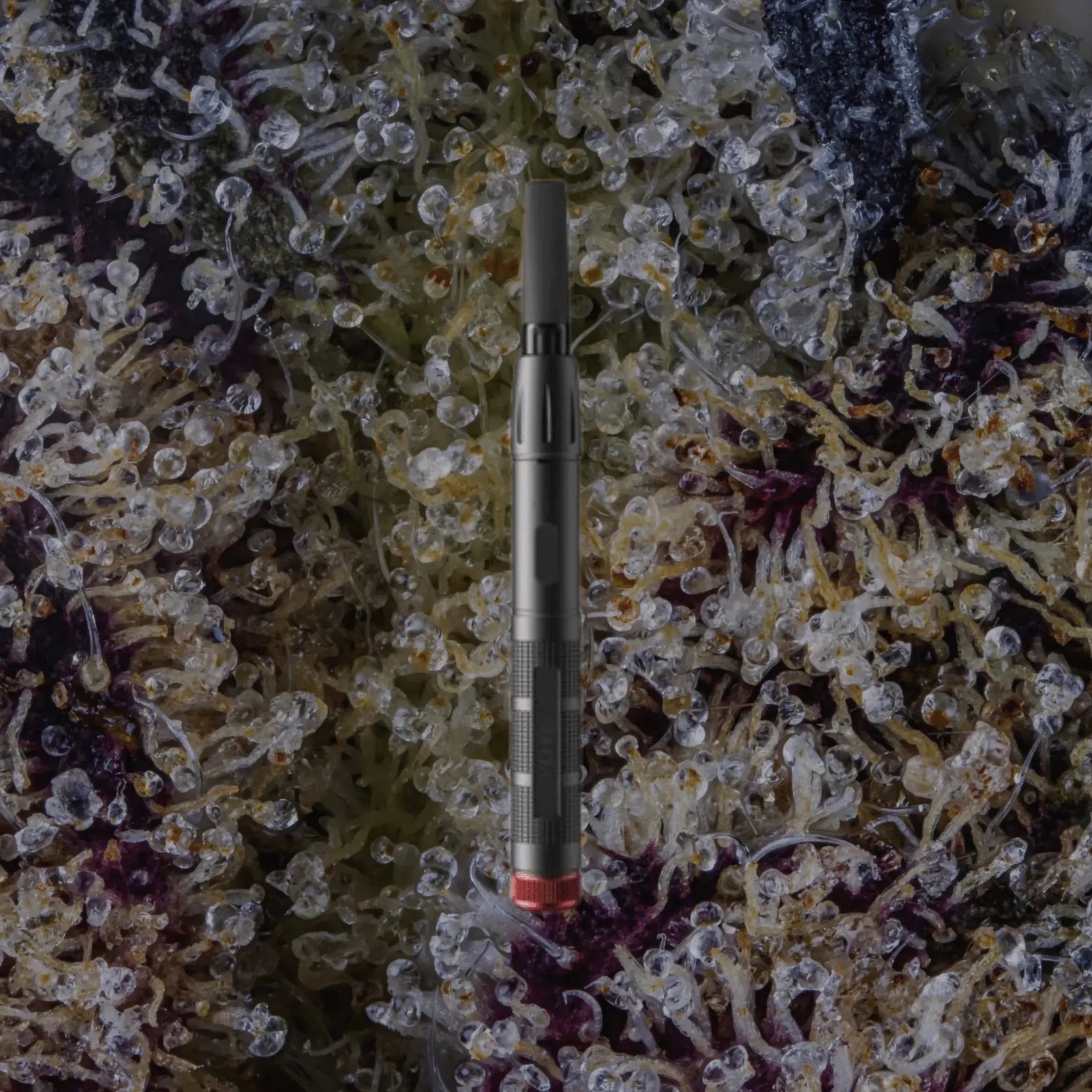 VESSEL Expedition Black | Trichly