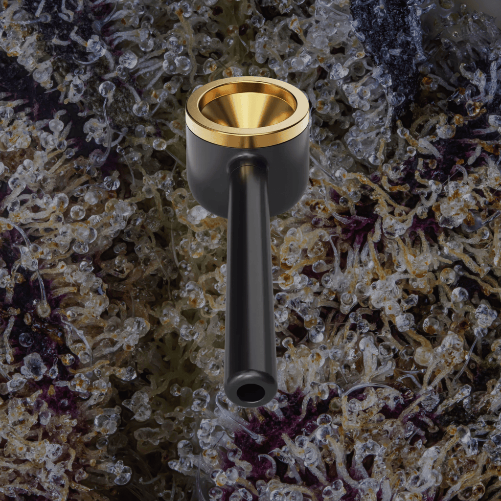 Vessel Pipe One - Hitter Maritime | Trichly