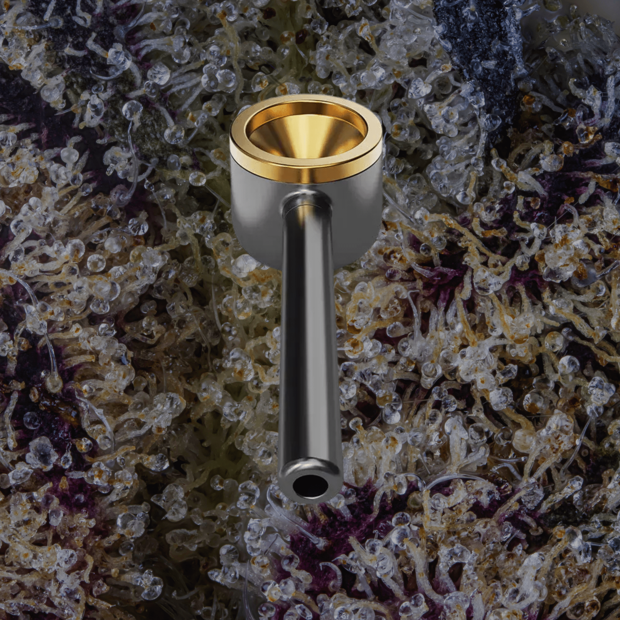 Vessel Pipe One - Hitter Maritime | Trichly