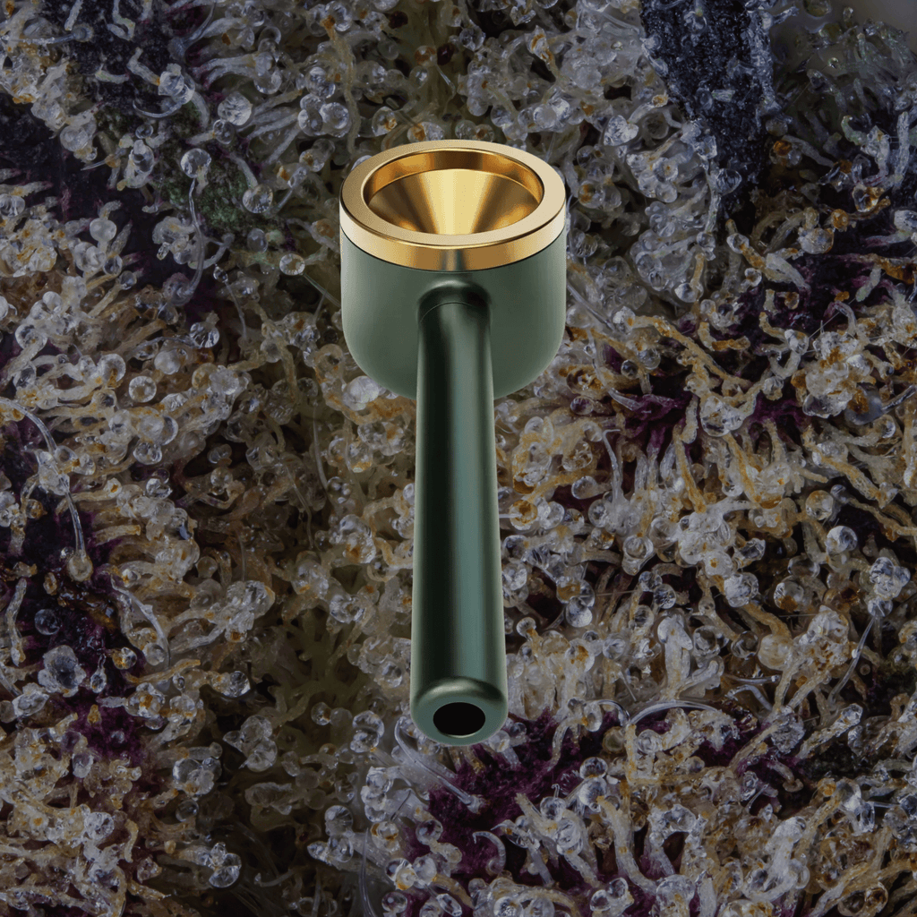 Vessel Pipe One - Hitter Maritime | Trichly