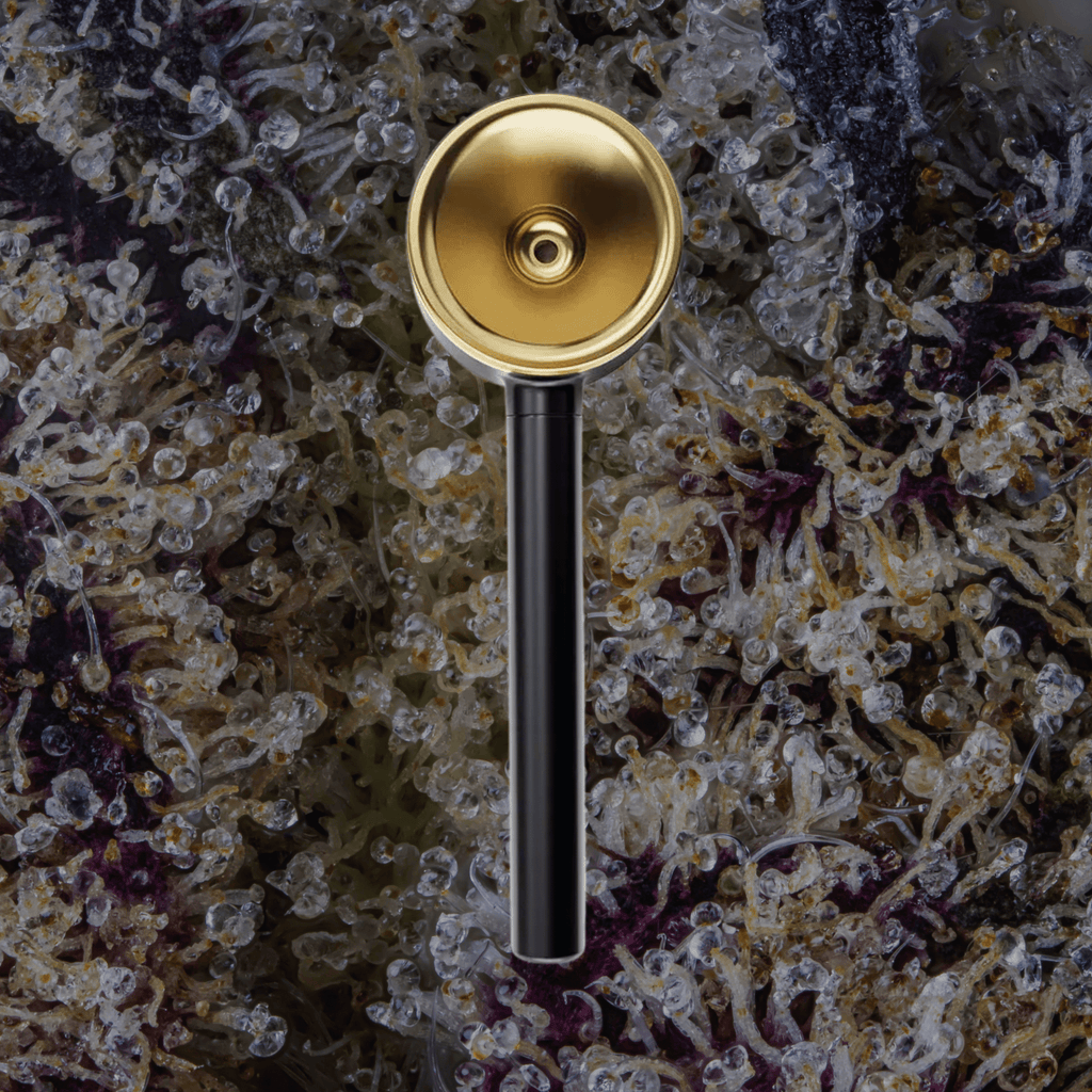 Vessel Pipe One - Hitter Maritime | Trichly