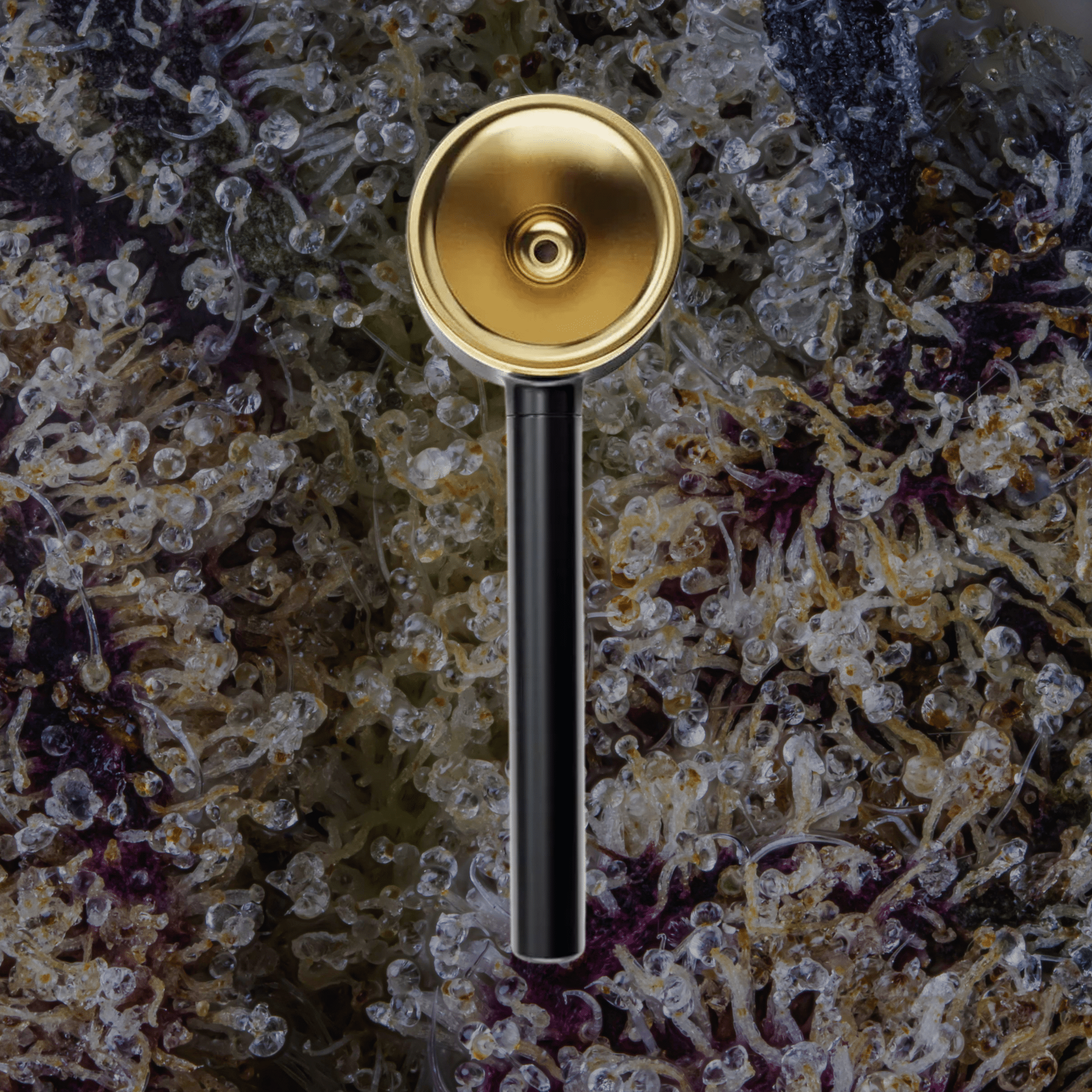 Vessel Pipe One - Hitter Maritime | Trichly