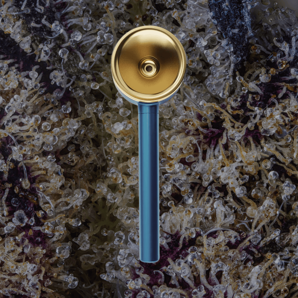 Vessel Pipe One - Hitter Maritime | Trichly
