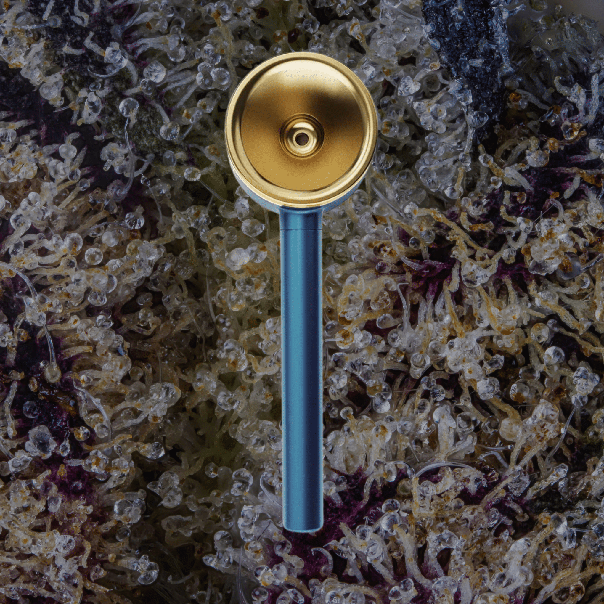 Vessel Pipe One - Hitter Maritime | Trichly