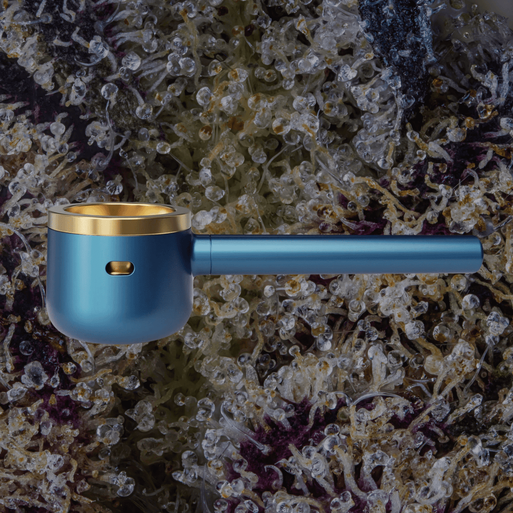 Vessel Pipe One - Hitter Maritime | Trichly