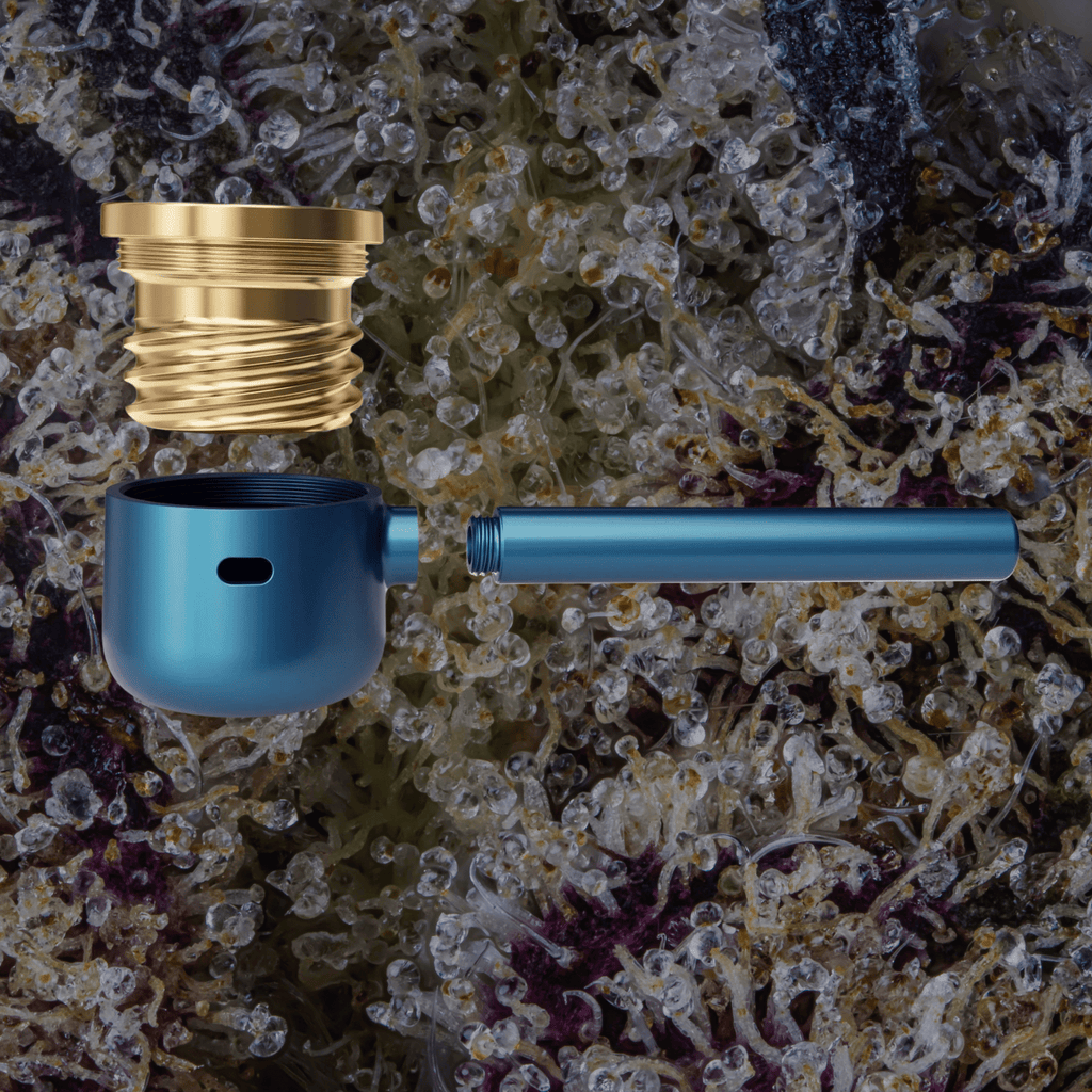 Vessel Pipe One - Hitter Maritime | Trichly