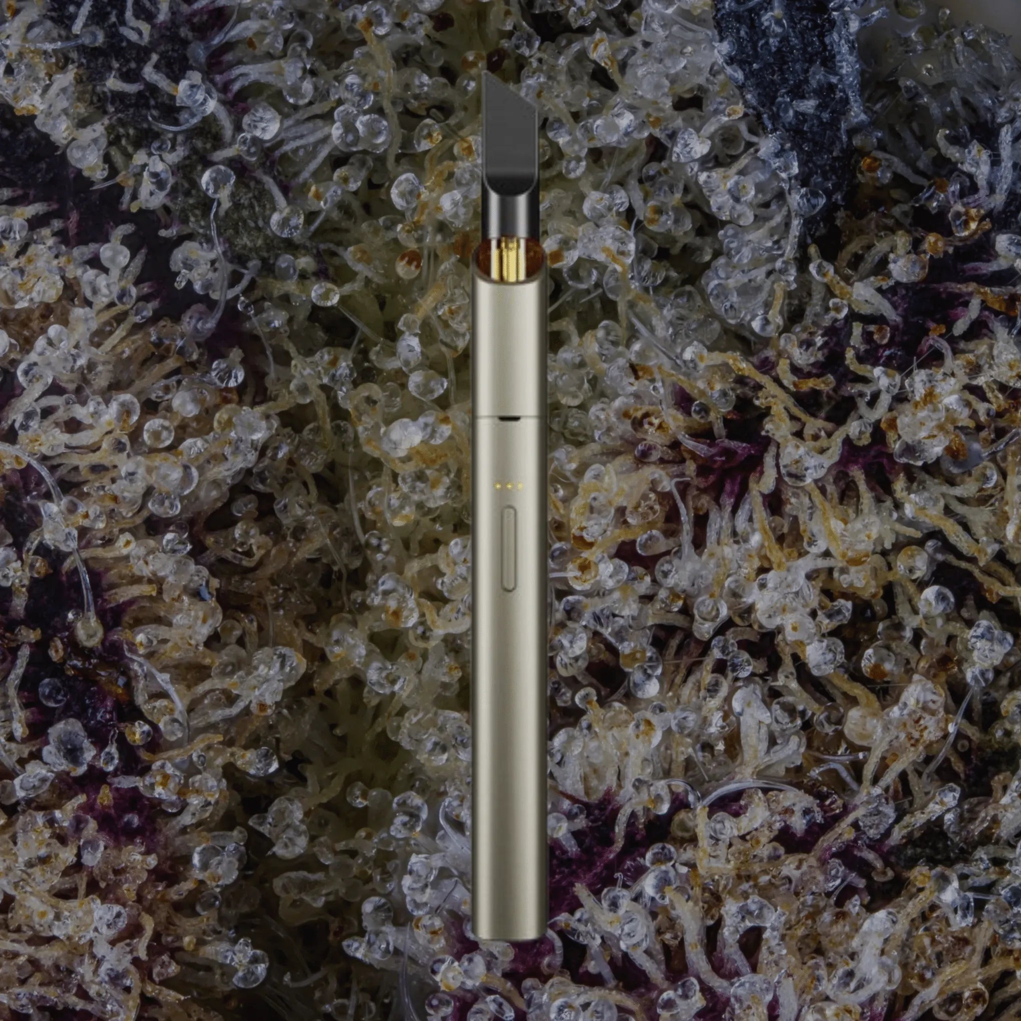 VESSEL Vista Edge Sage | Trichly