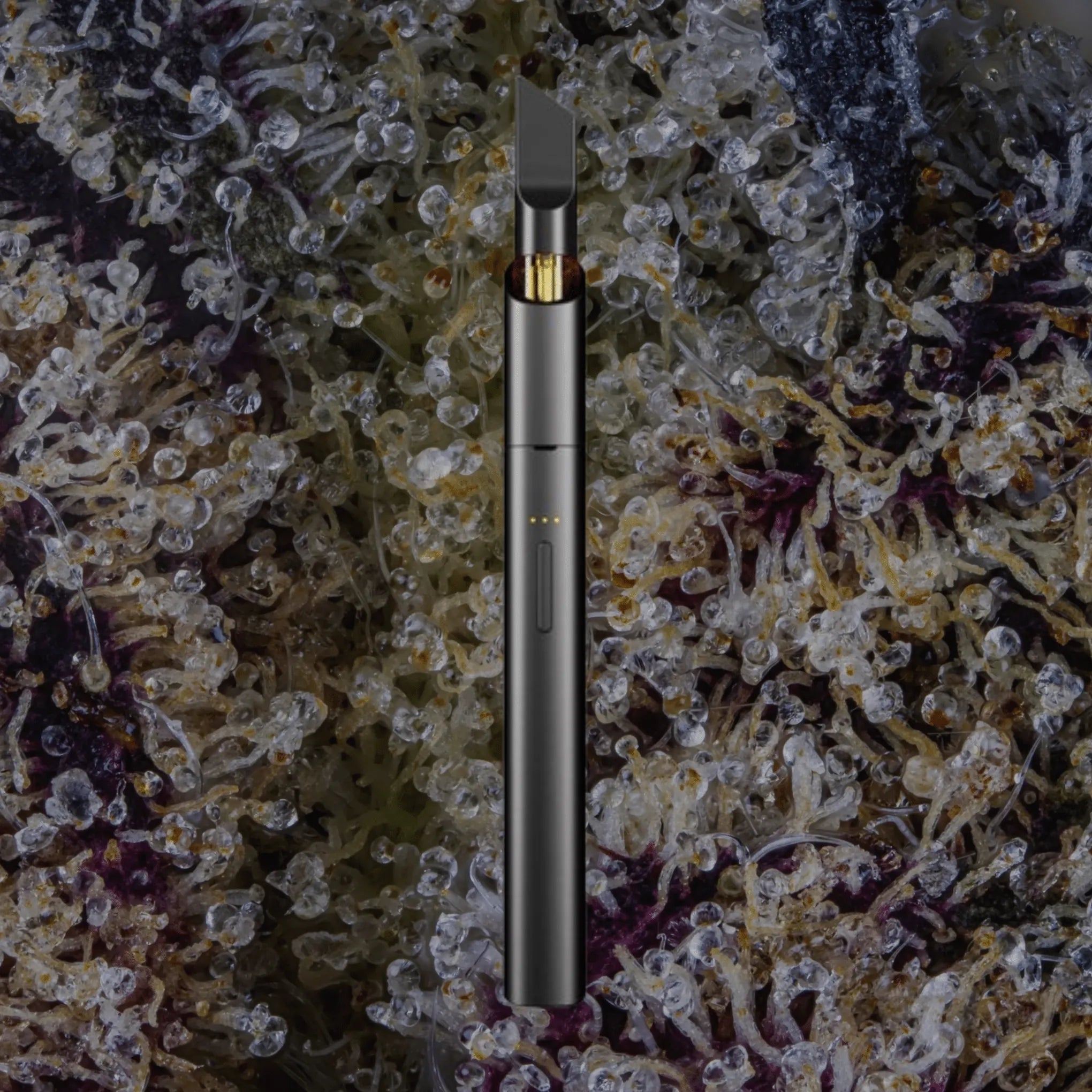 VESSEL Vista Edge Slate | Trichly
