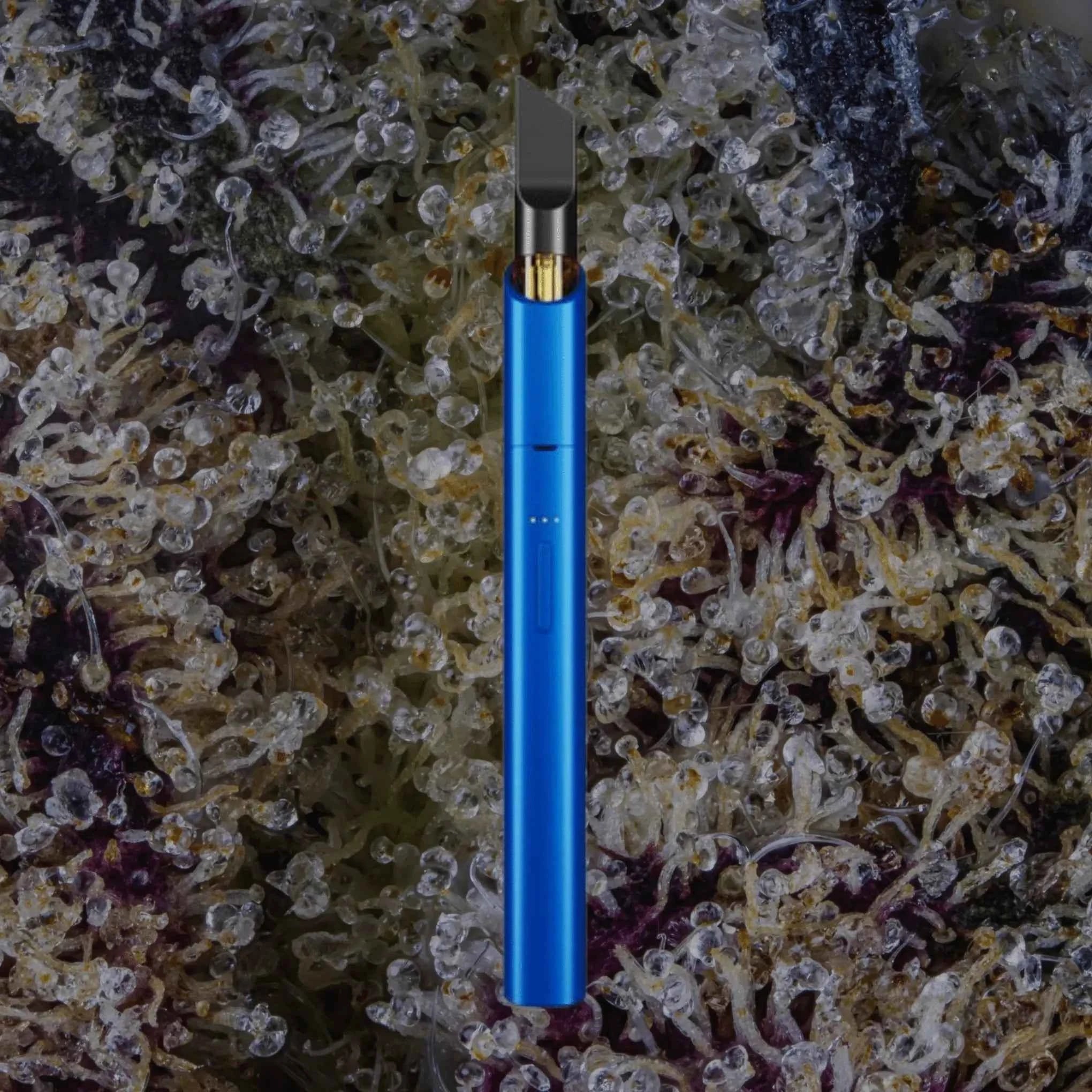 Vessel Vista Edge Cobalt | Trichly