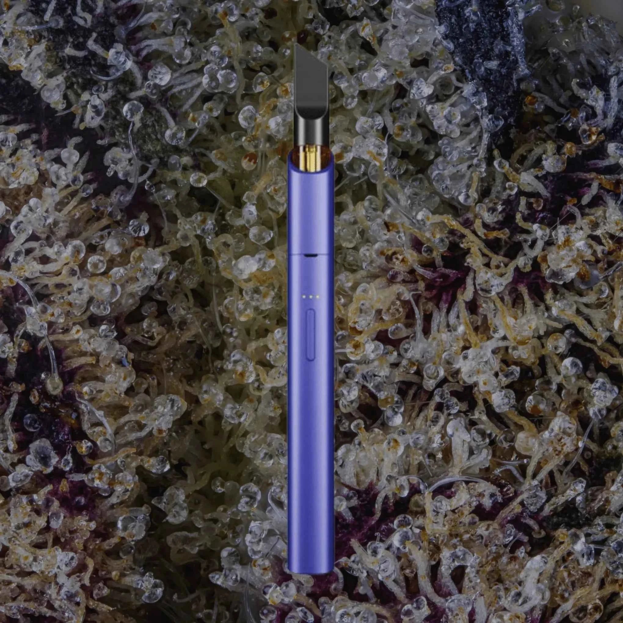 Vessel Vista Edge Very Peri | Trichly