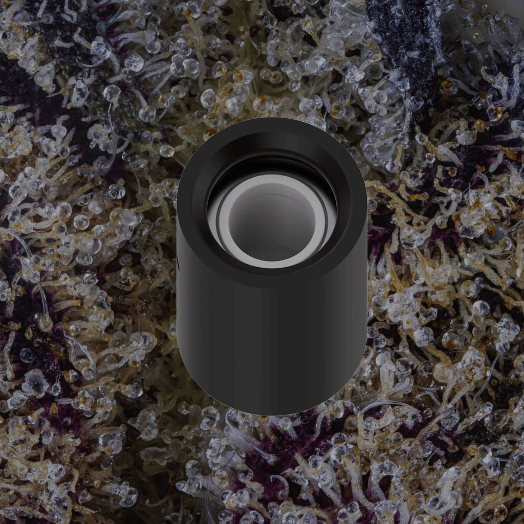 VOOZR Puffco Pivot 3DXL Chamber Onyx | Trichly