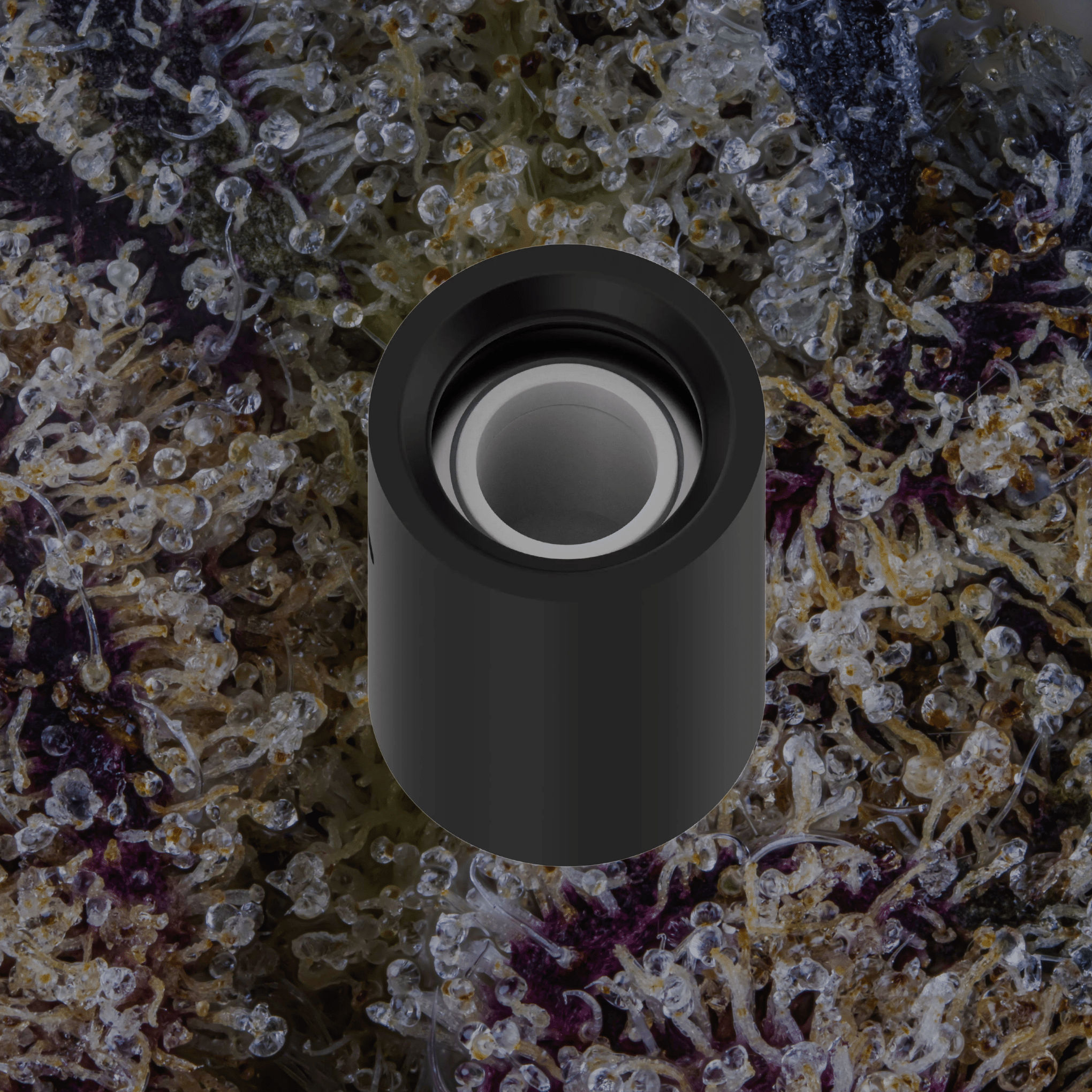 VOOZR Puffco Pivot 3DXL Chamber Onyx | Trichly