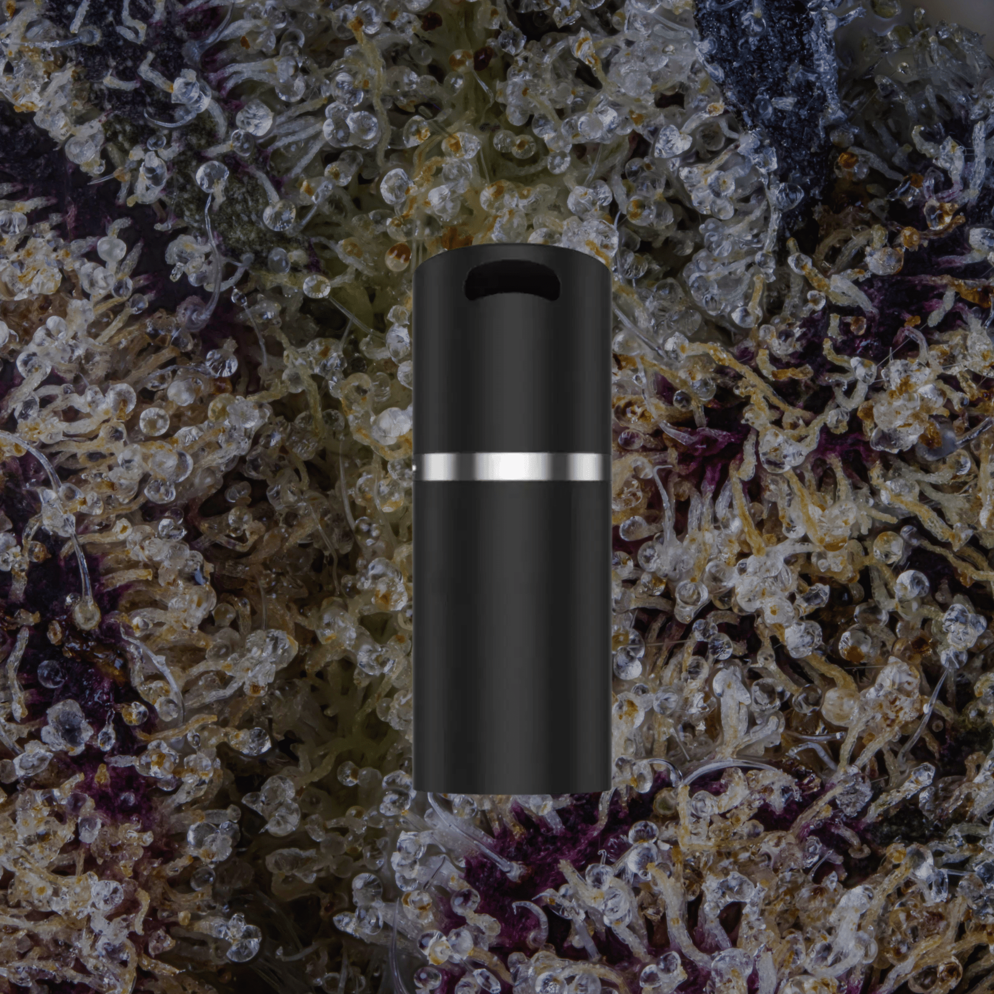 VOOZR Puffco Pivot 3DXL Chamber Onyx | Trichly