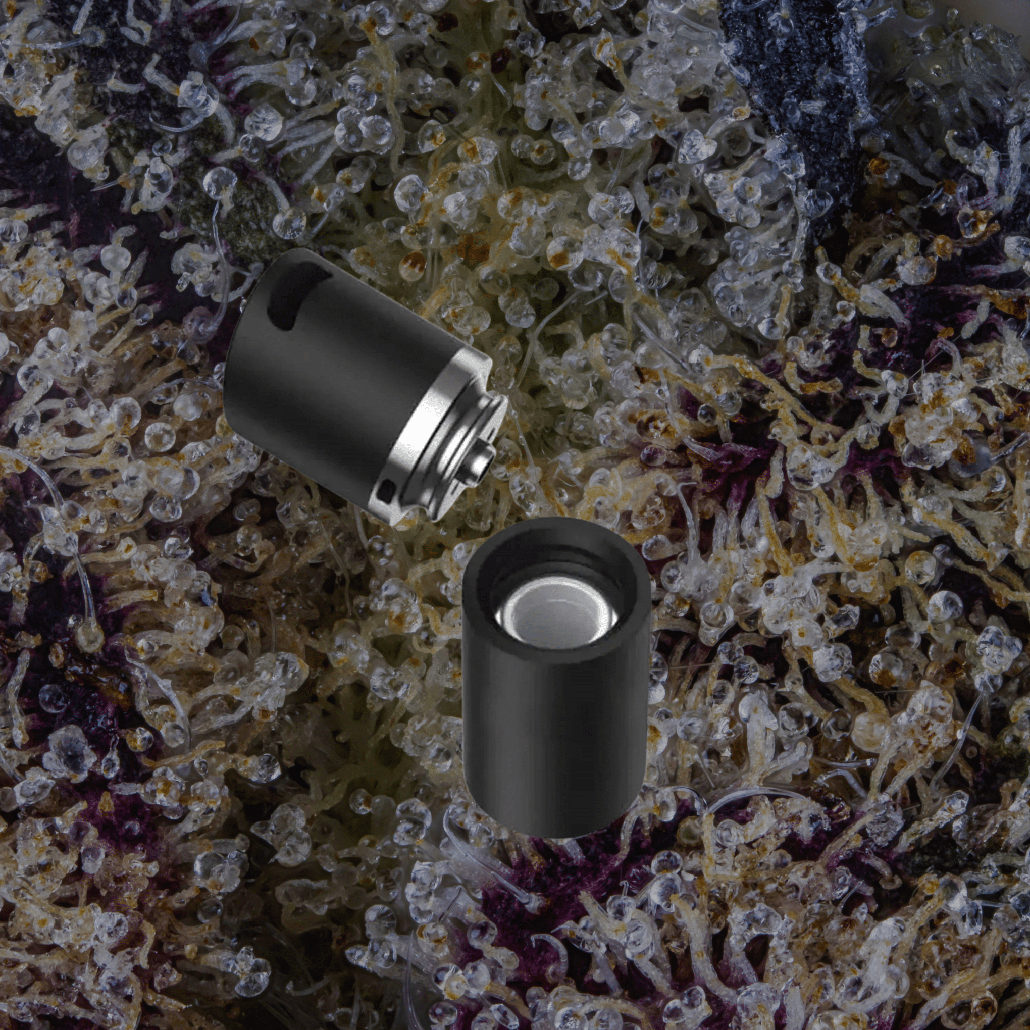 VOOZR Puffco Pivot 3DXL Chamber Onyx | Trichly
