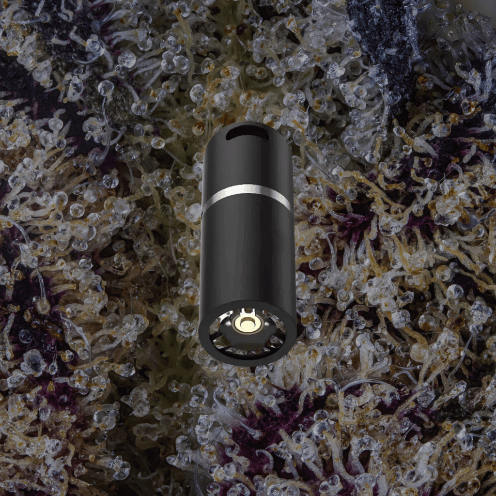 VOOZR Puffco Pivot 3DXL Chamber Onyx | Trichly