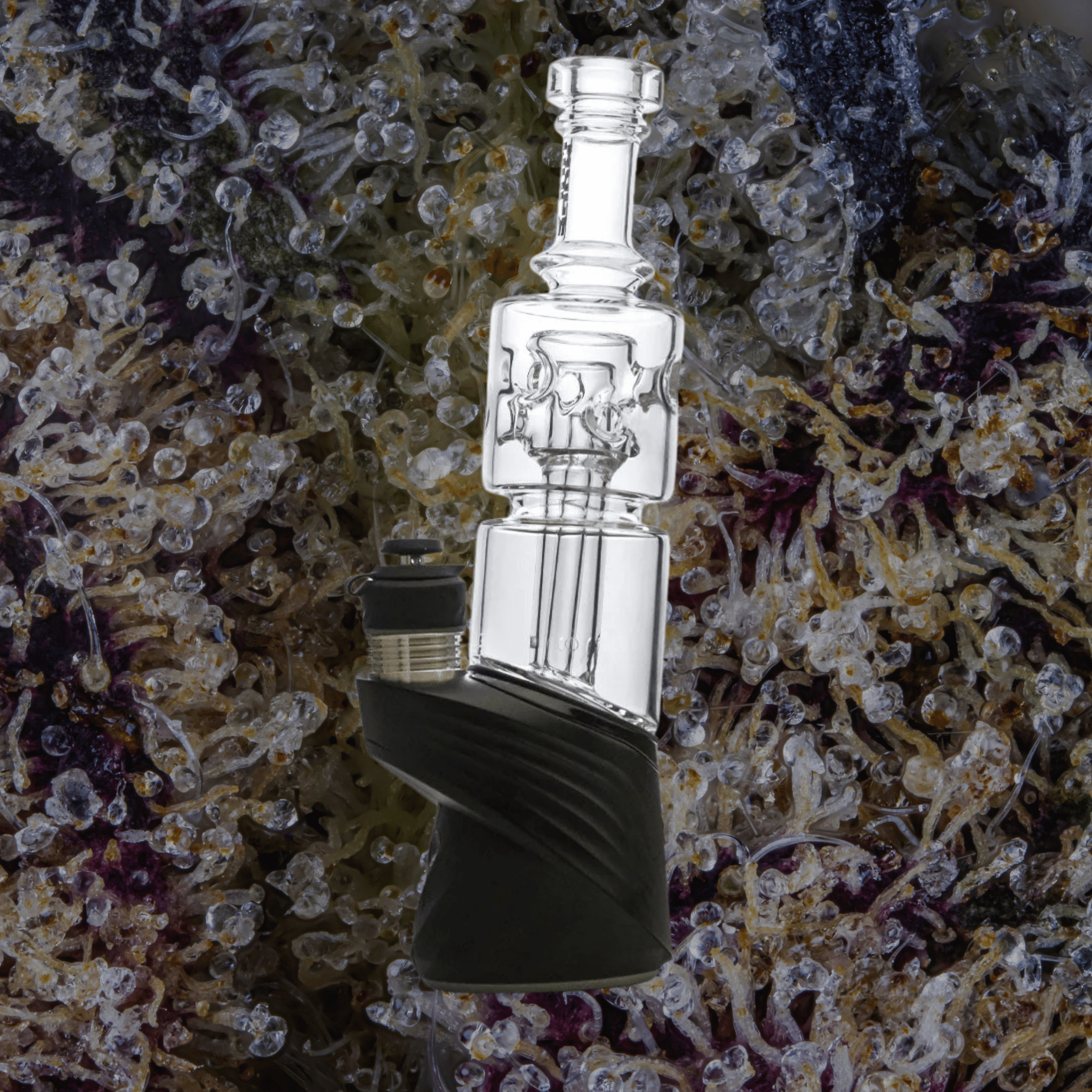 Wulf Mods Fuse Puffco Peak Top Blue | Trichly