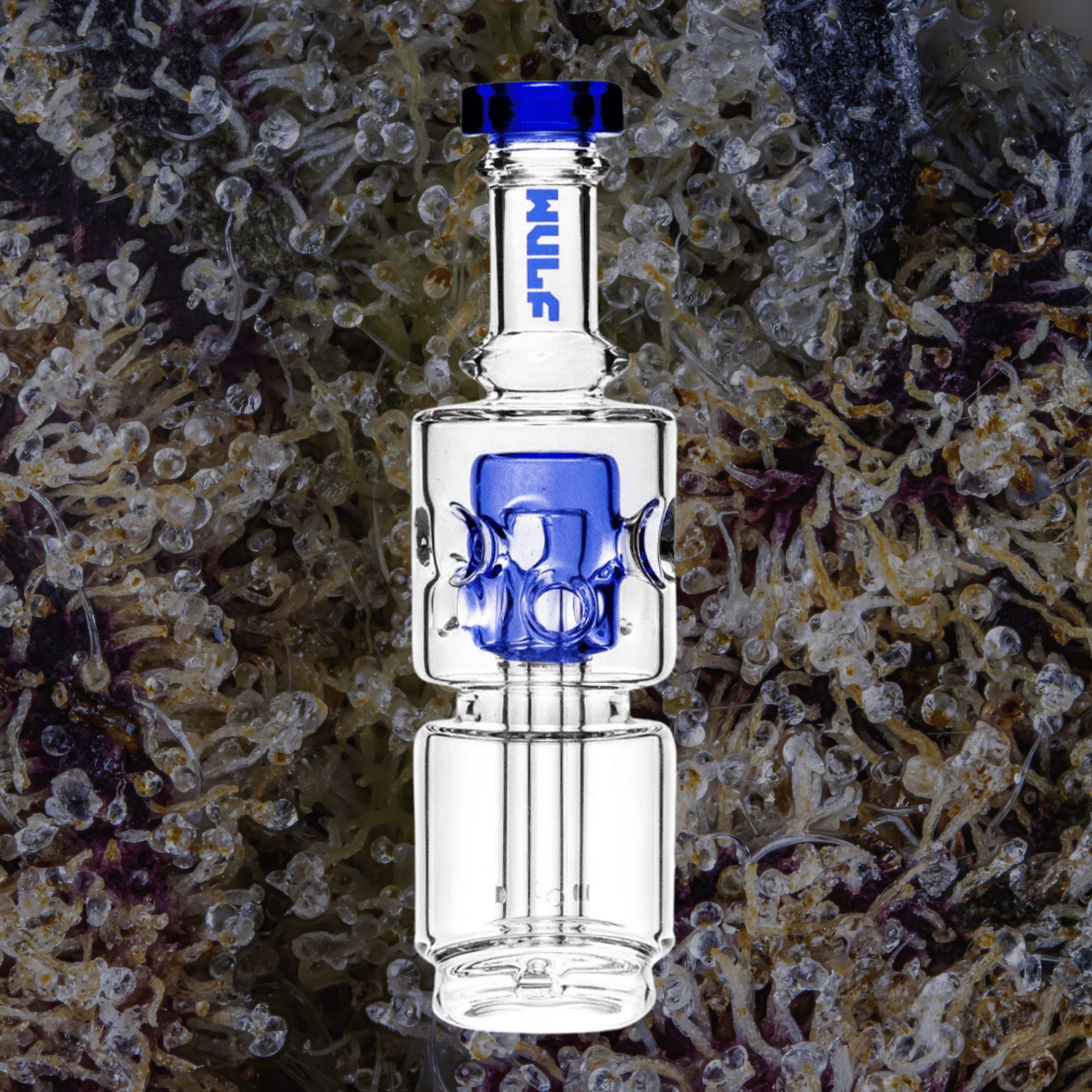 Wulf Mods Fuse Puffco Peak Top Blue | Trichly