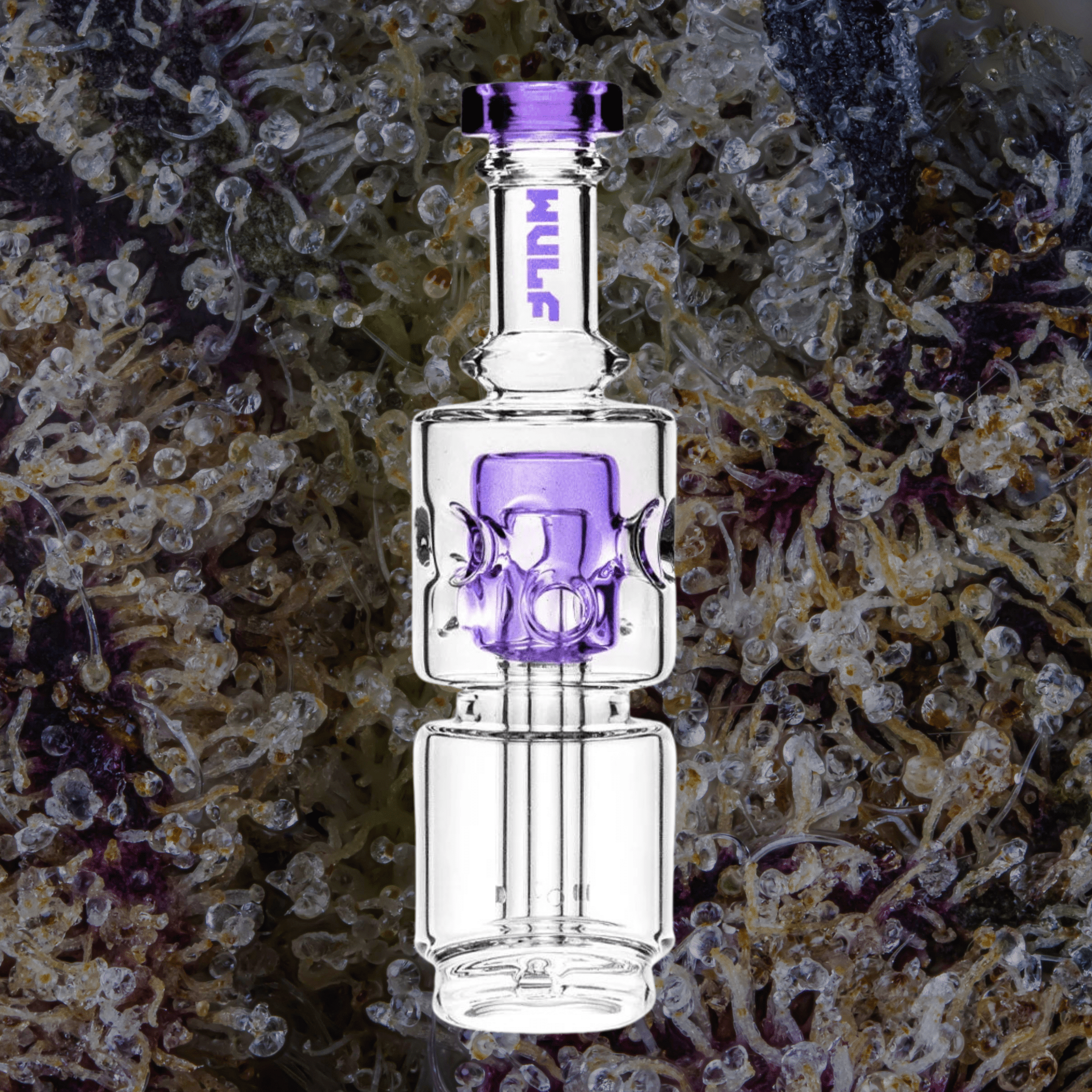 Wulf Mods Fuse Puffco Peak Top Purple | Trichly