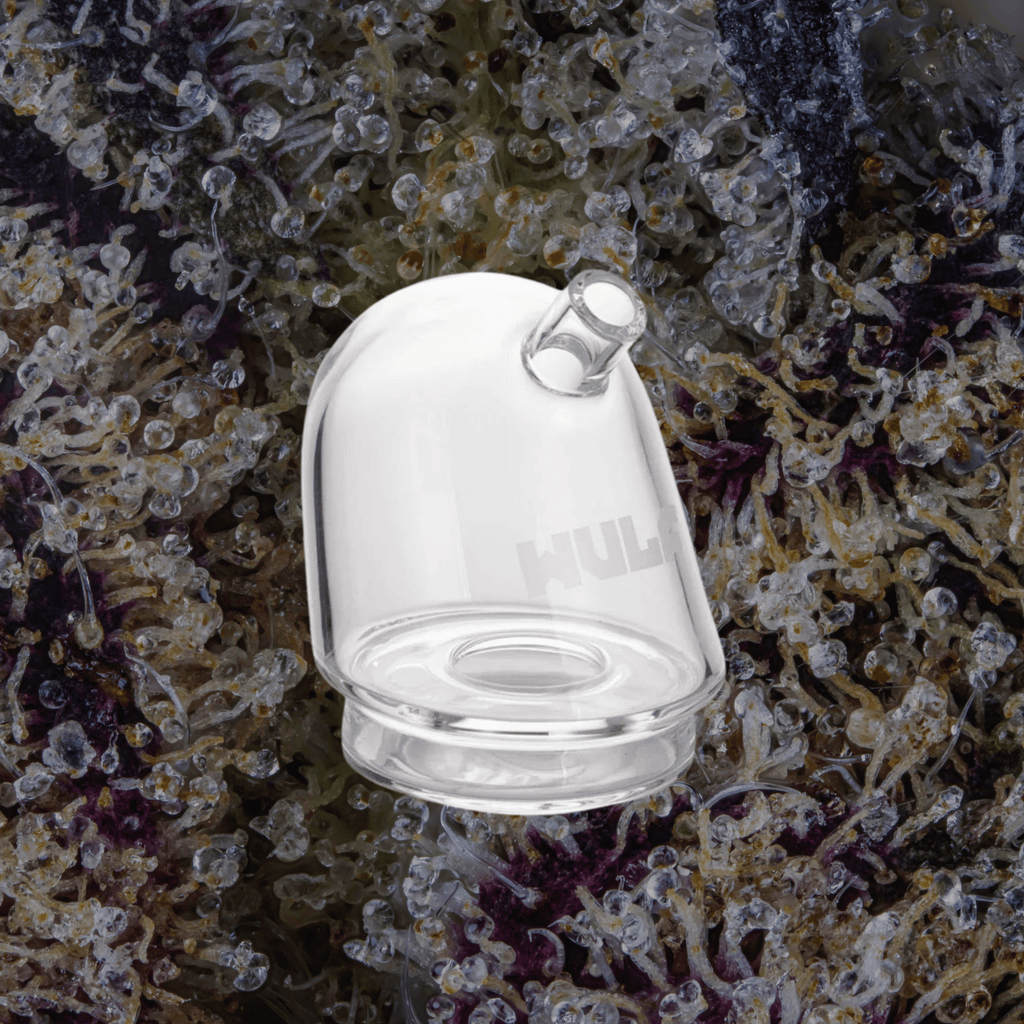 Wulf Mods Link Puffco Peak Top Clear | Trichly