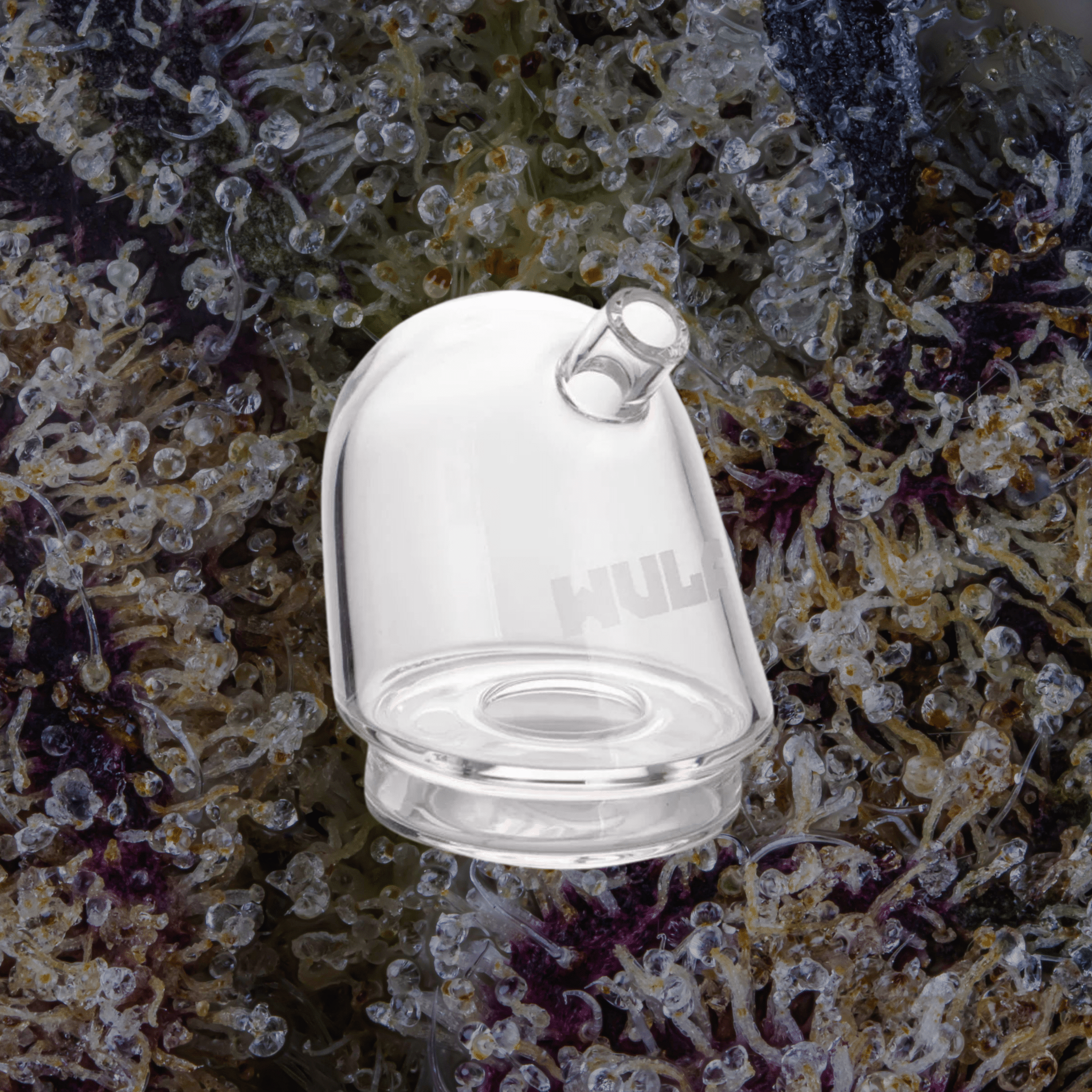 Wulf Mods Link Puffco Peak Top Clear | Trichly