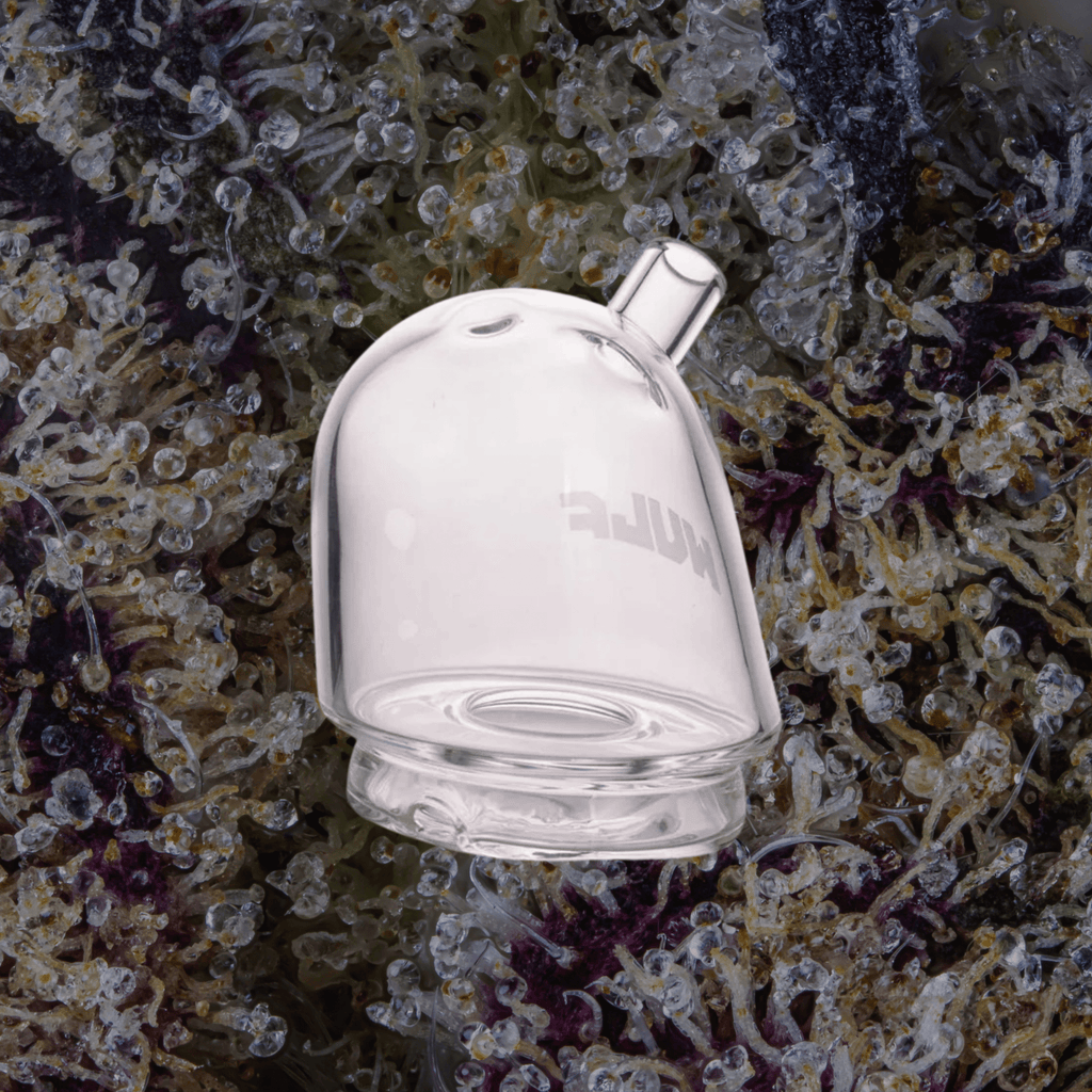 Wulf Mods Link Puffco Peak Top Clear | Trichly