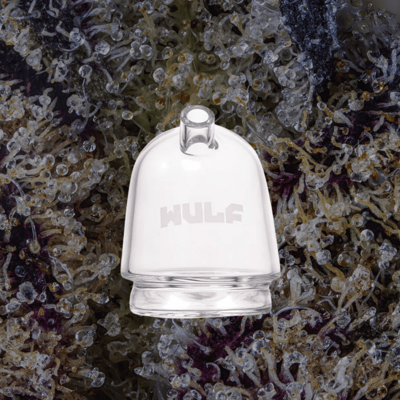 Wulf Mods Link Puffco Peak Top Clear | Trichly