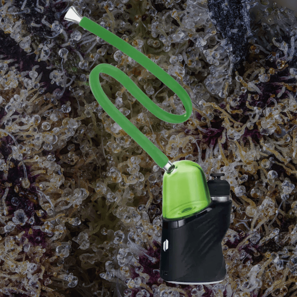 Wulf Mods Link Puffco Peak Top Green | Trichly